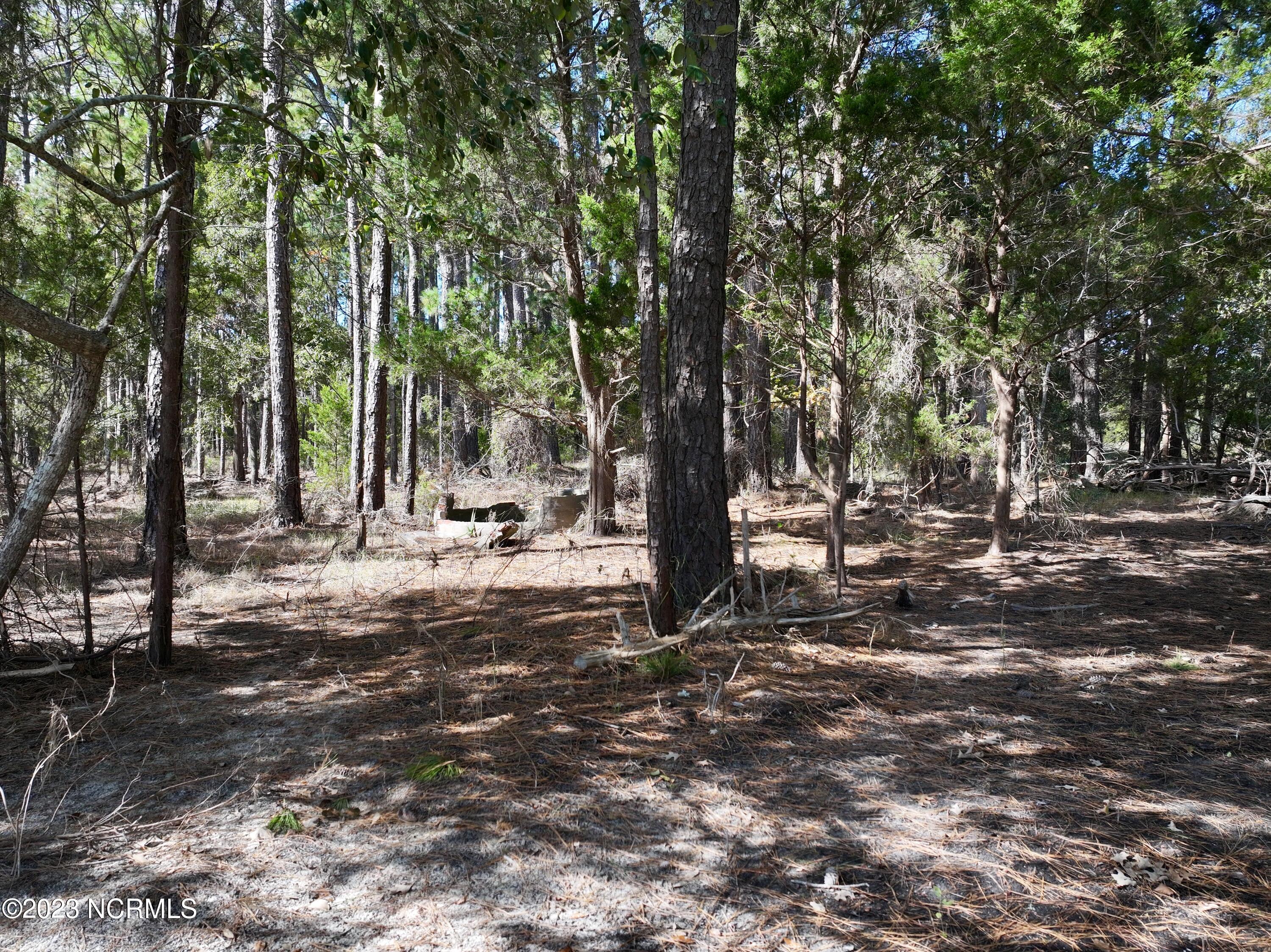 0 Germantown Road Scranton, NC 27875 - Photo 17 of 55 16