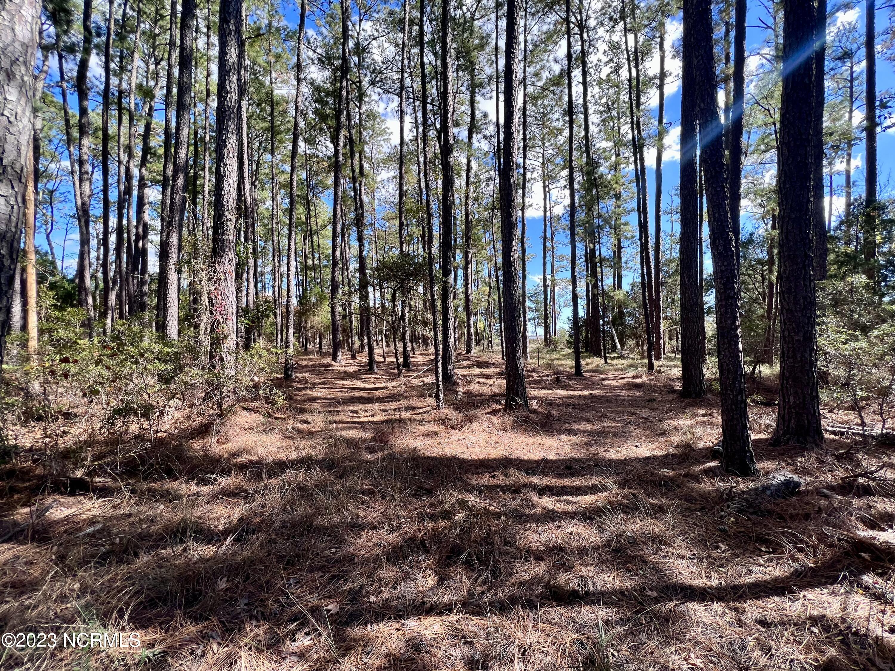 0 Germantown Road Scranton, NC 27875 - Photo 18 of 55 17