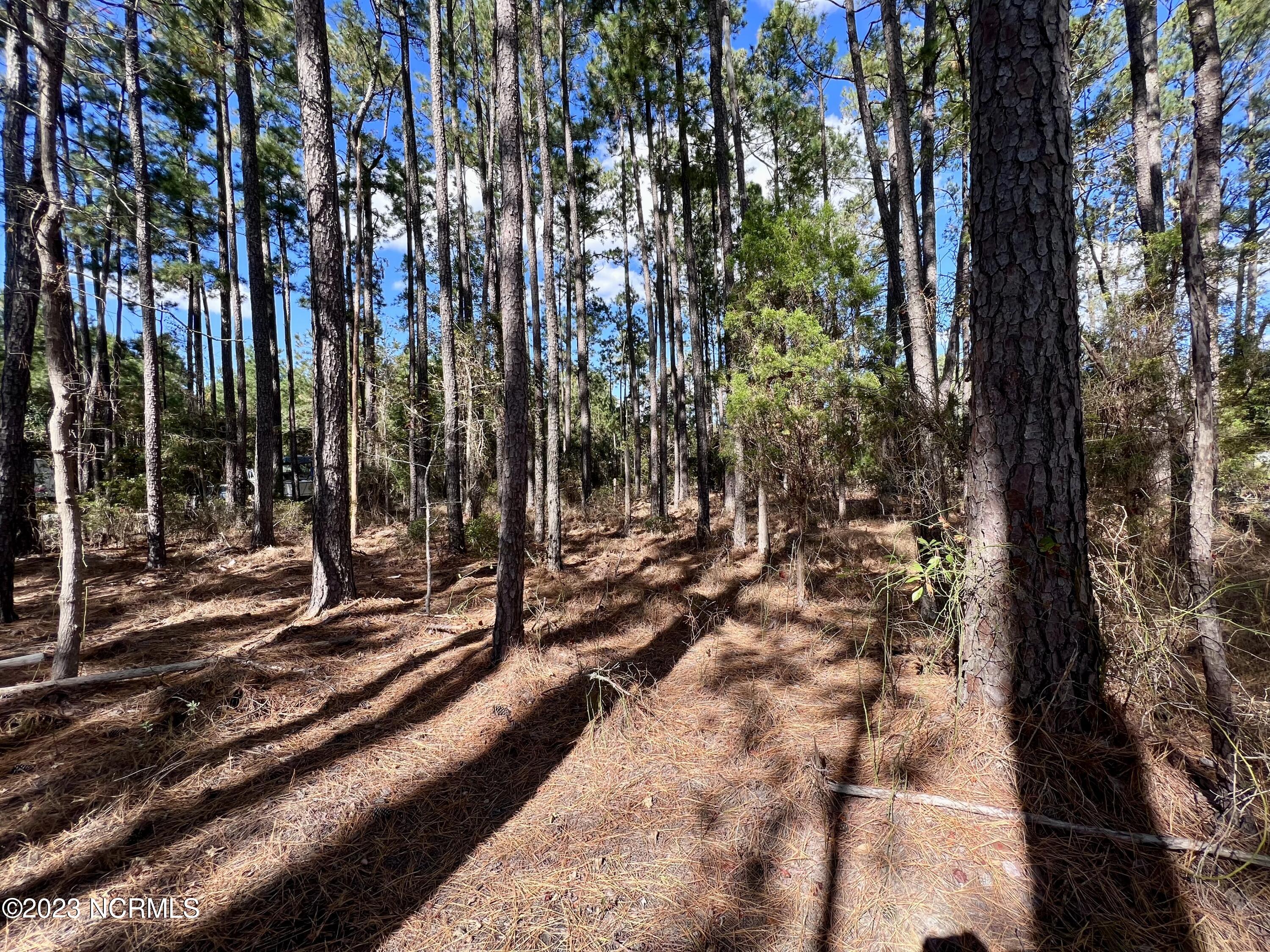 0 Germantown Road Scranton, NC 27875 - Photo 19 of 55 18