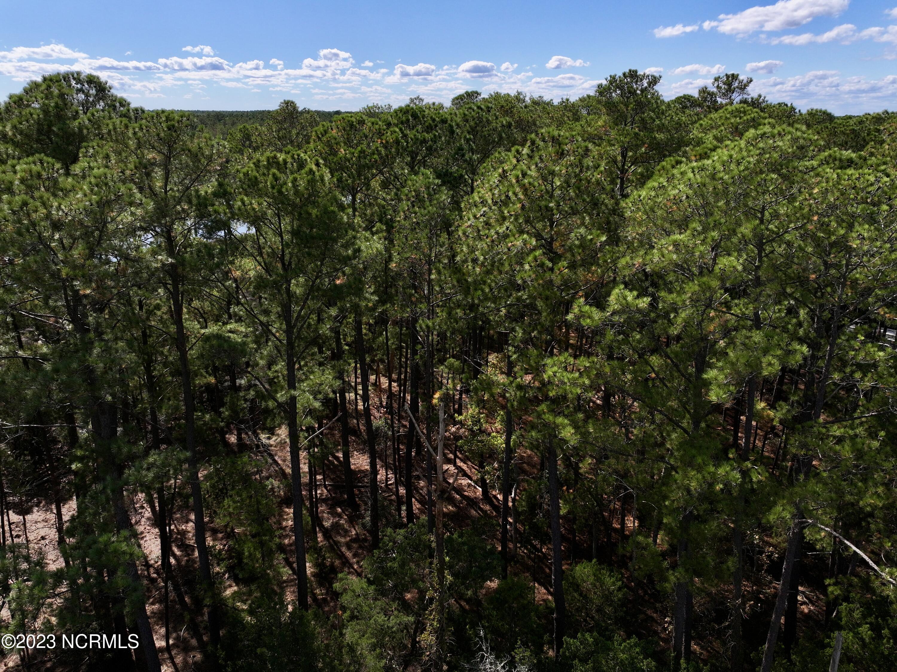 0 Germantown Road Scranton, NC 27875 - Photo 22 of 55 21