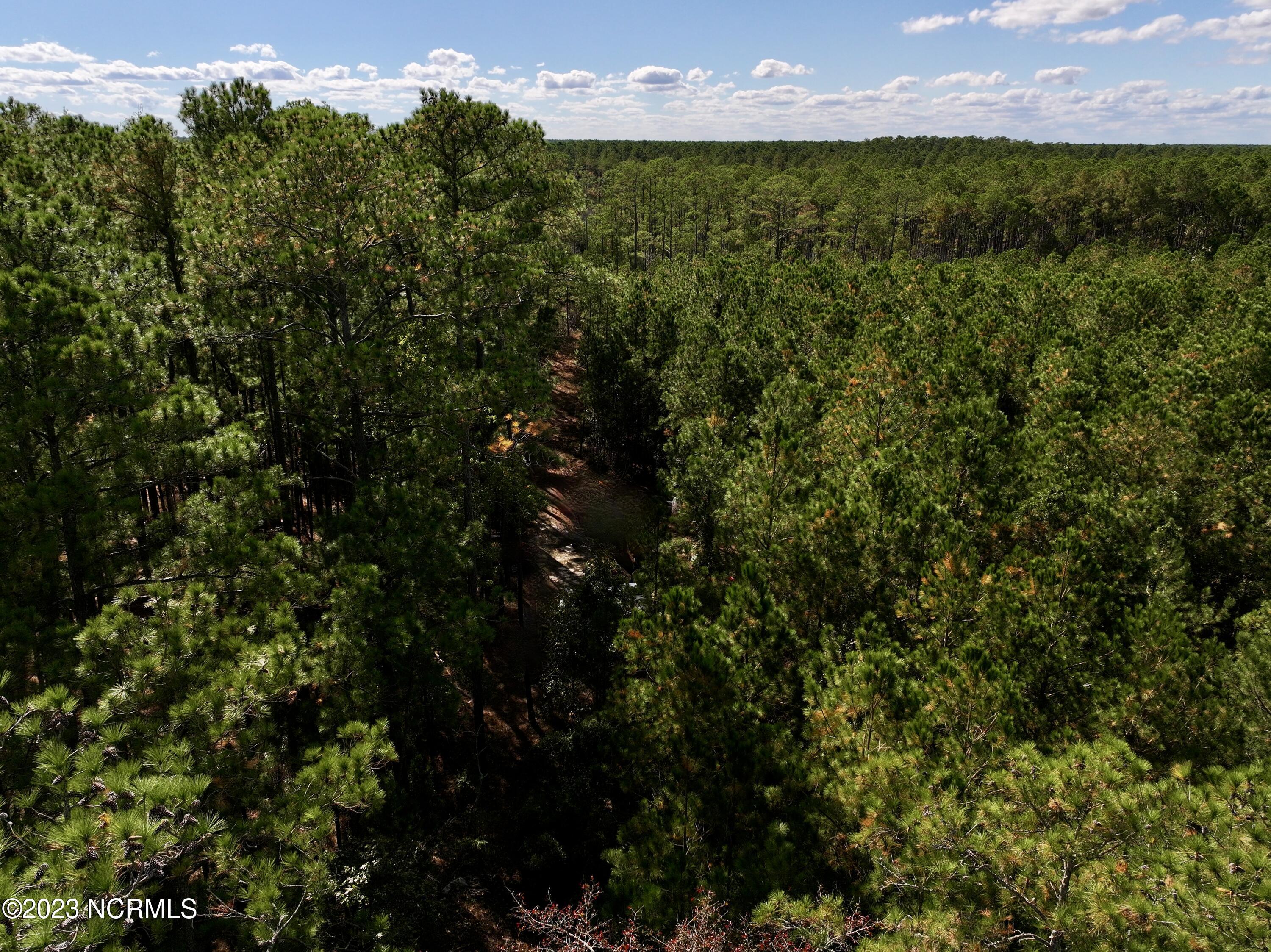 0 Germantown Road Scranton, NC 27875 - Photo 23 of 55 22