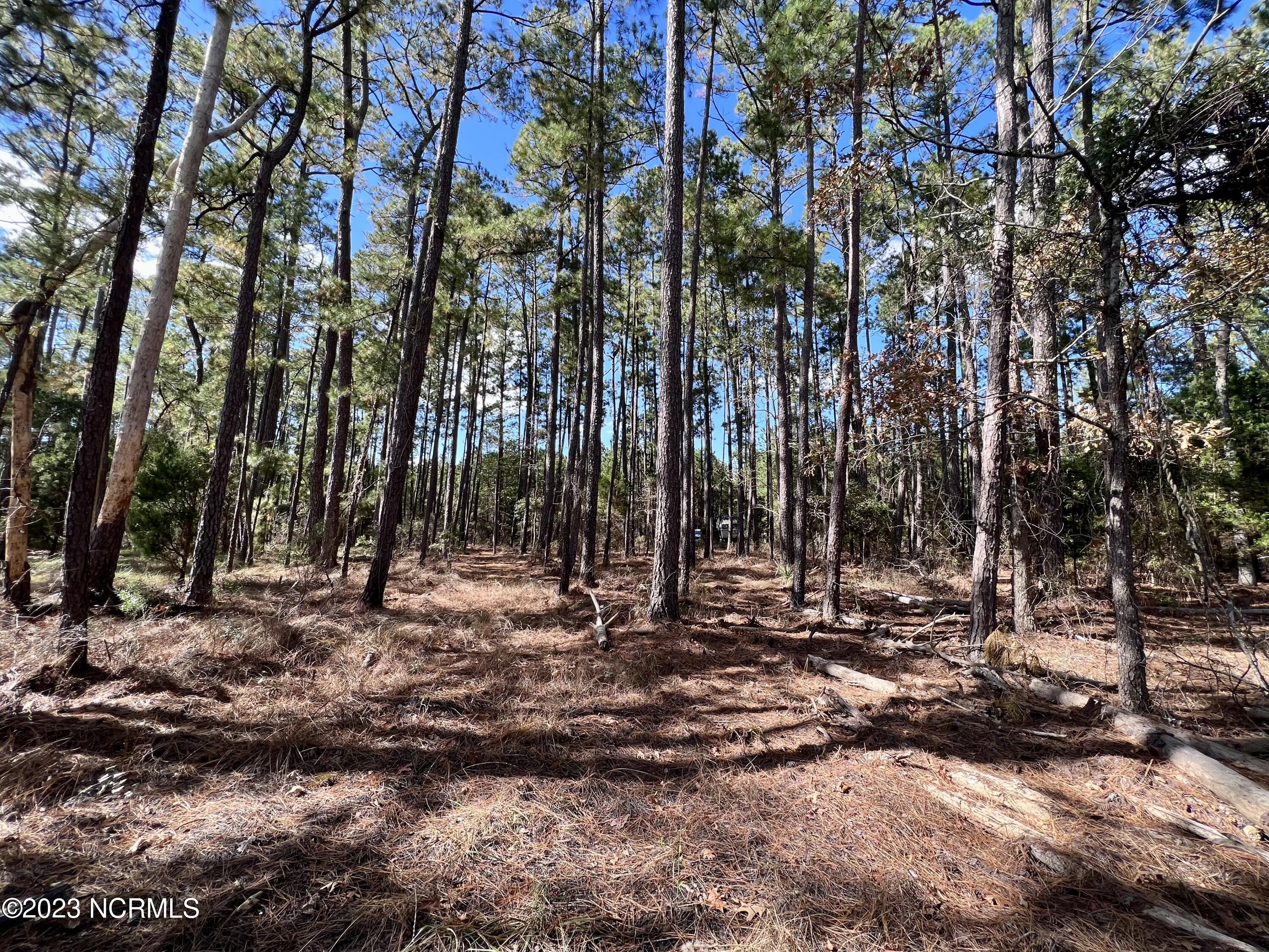 0 Germantown Road Scranton, NC 27875 - Photo 24 of 55 23