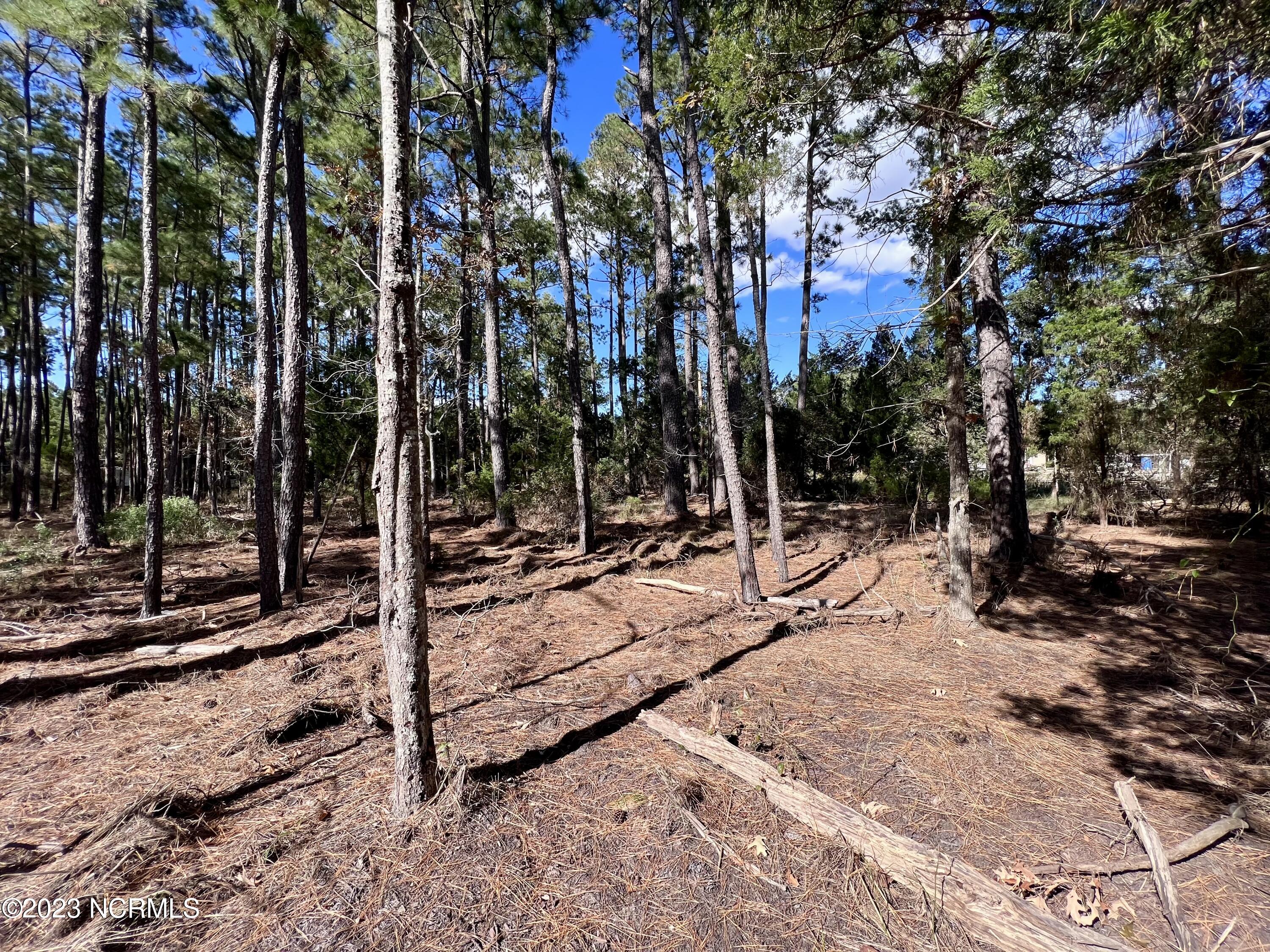 0 Germantown Road Scranton, NC 27875 - Photo 25 of 55 24