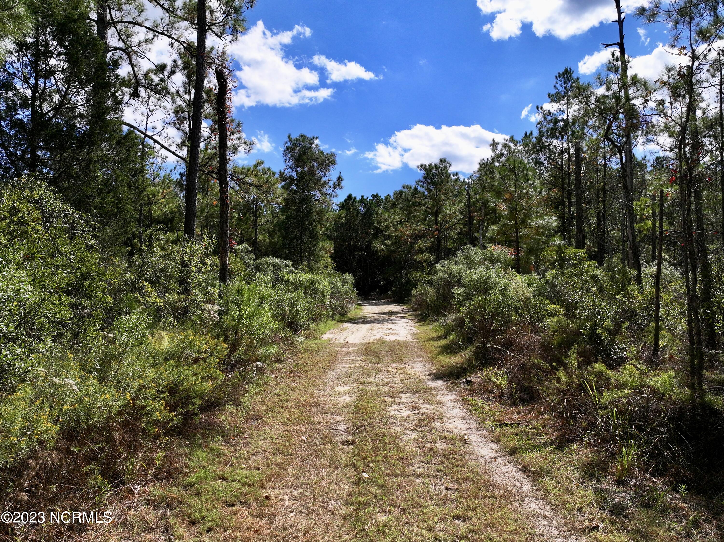 0 Germantown Road Scranton, NC 27875 - Photo 33 of 55 32