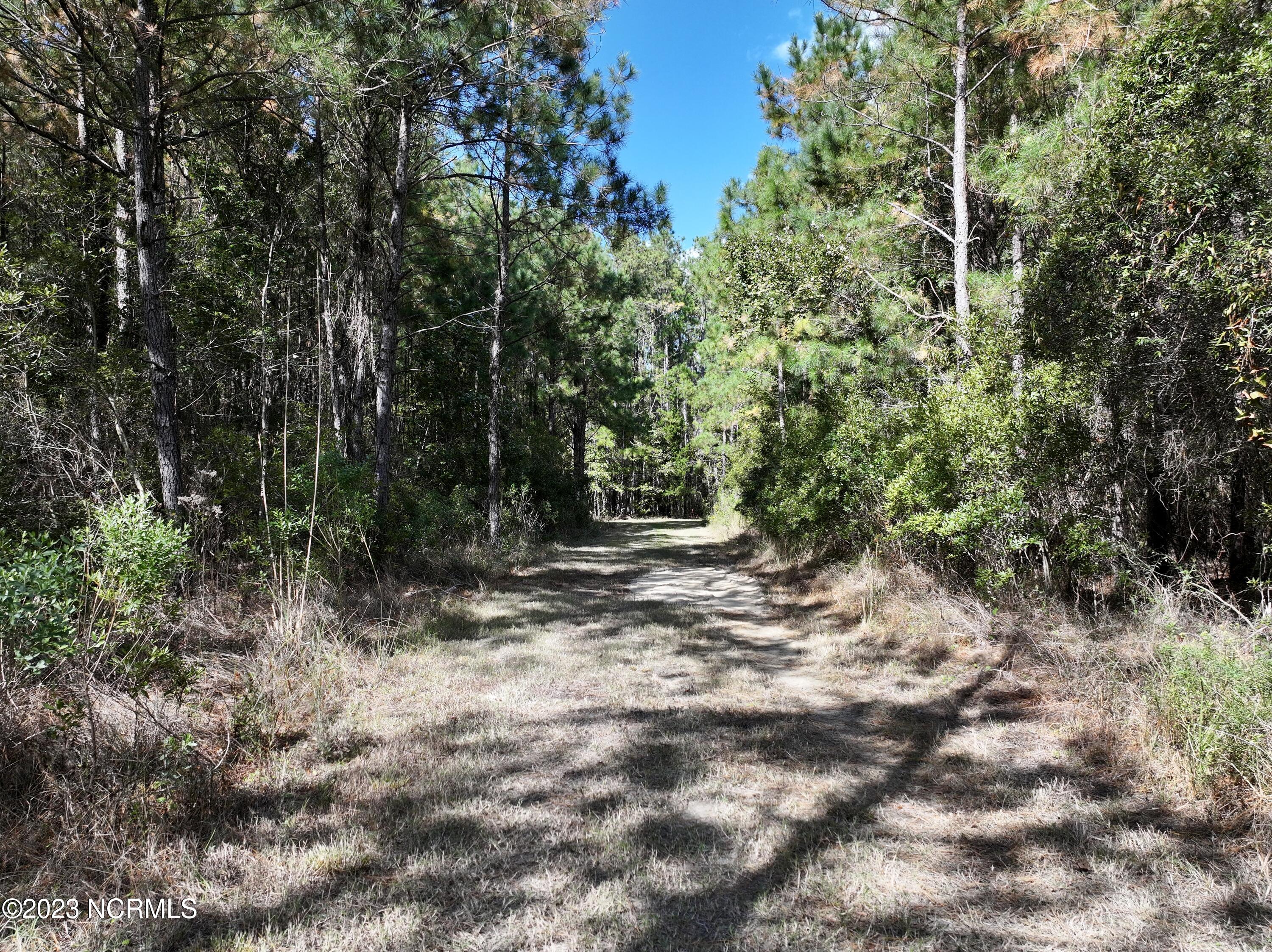 0 Germantown Road Scranton, NC 27875 - Photo 34 of 55 33