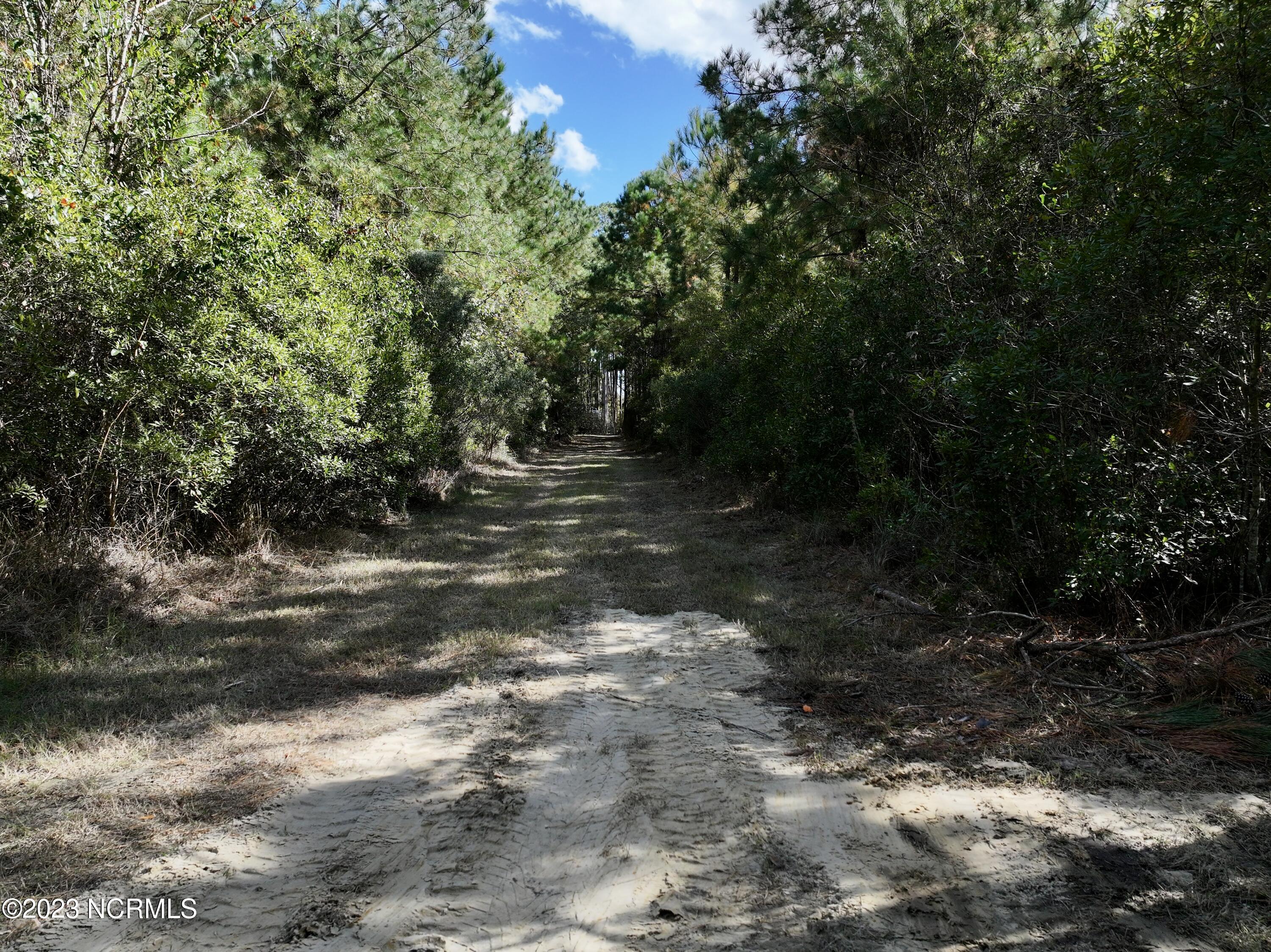 0 Germantown Road Scranton, NC 27875 - Photo 35 of 55 34