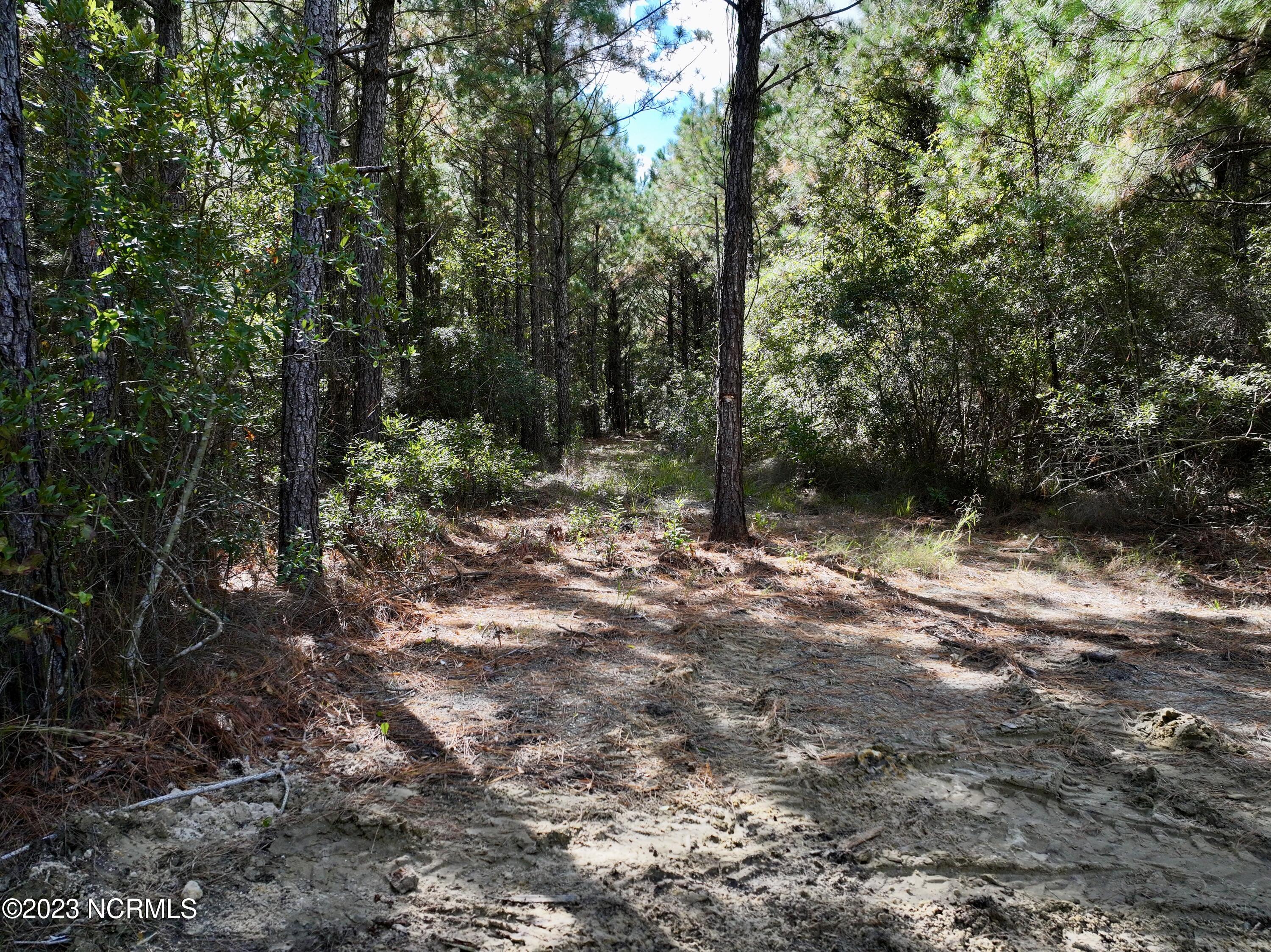 0 Germantown Road Scranton, NC 27875 - Photo 36 of 55 35