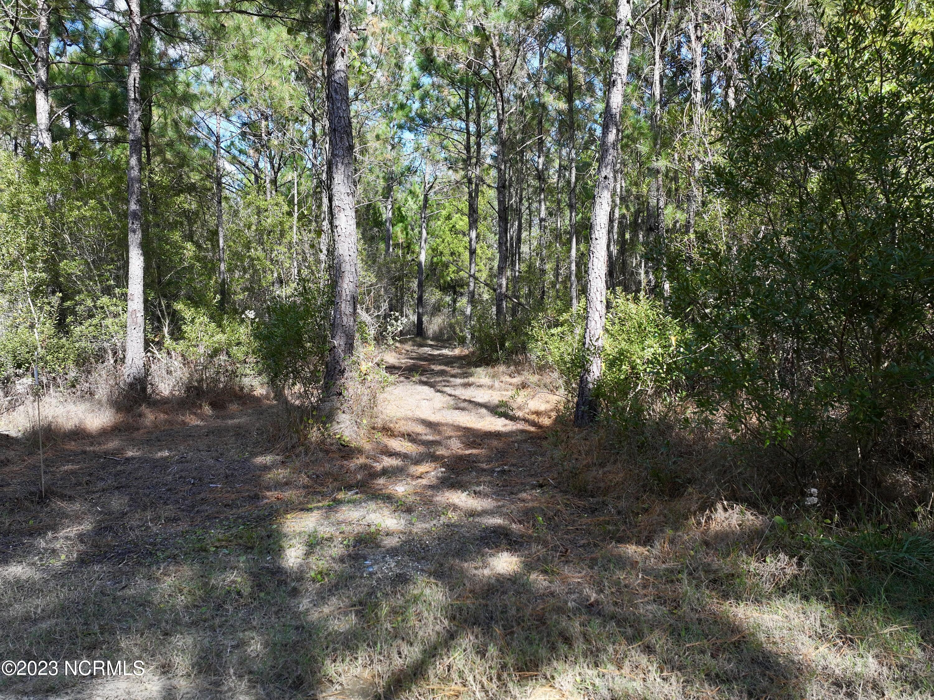 0 Germantown Road Scranton, NC 27875 - Photo 37 of 55 36