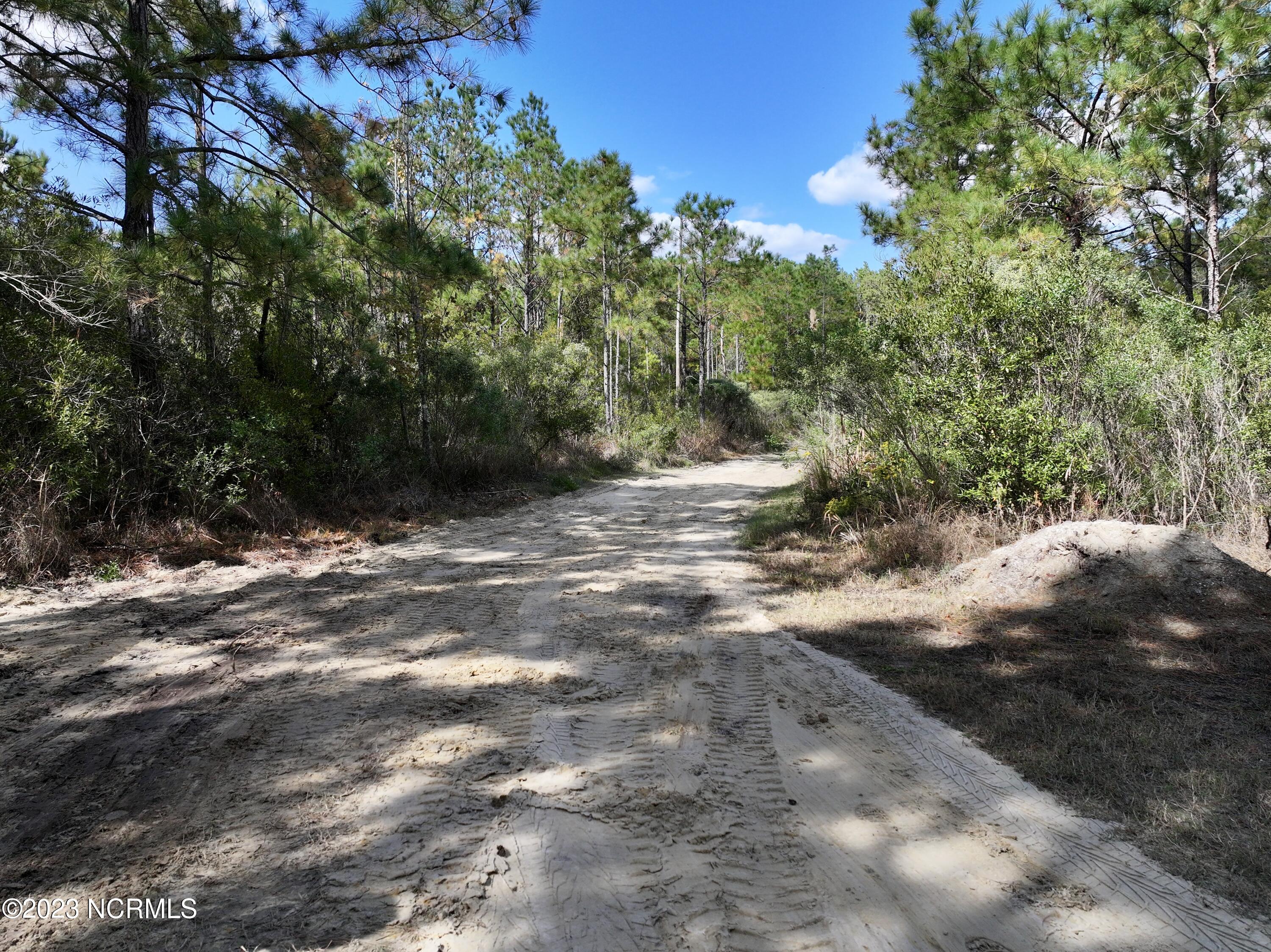 0 Germantown Road Scranton, NC 27875 - Photo 38 of 55 37