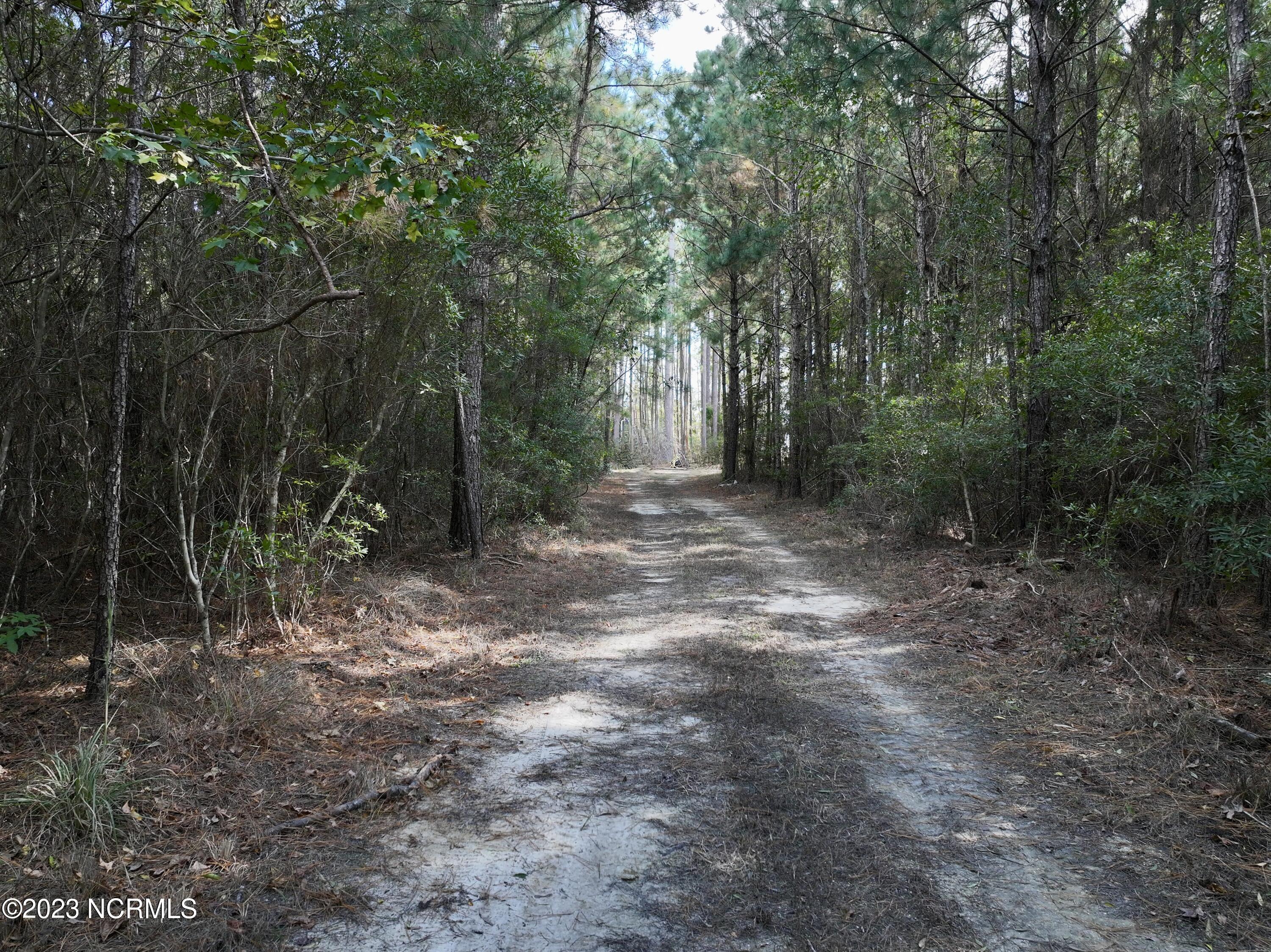 0 Germantown Road Scranton, NC 27875 - Photo 39 of 55 38