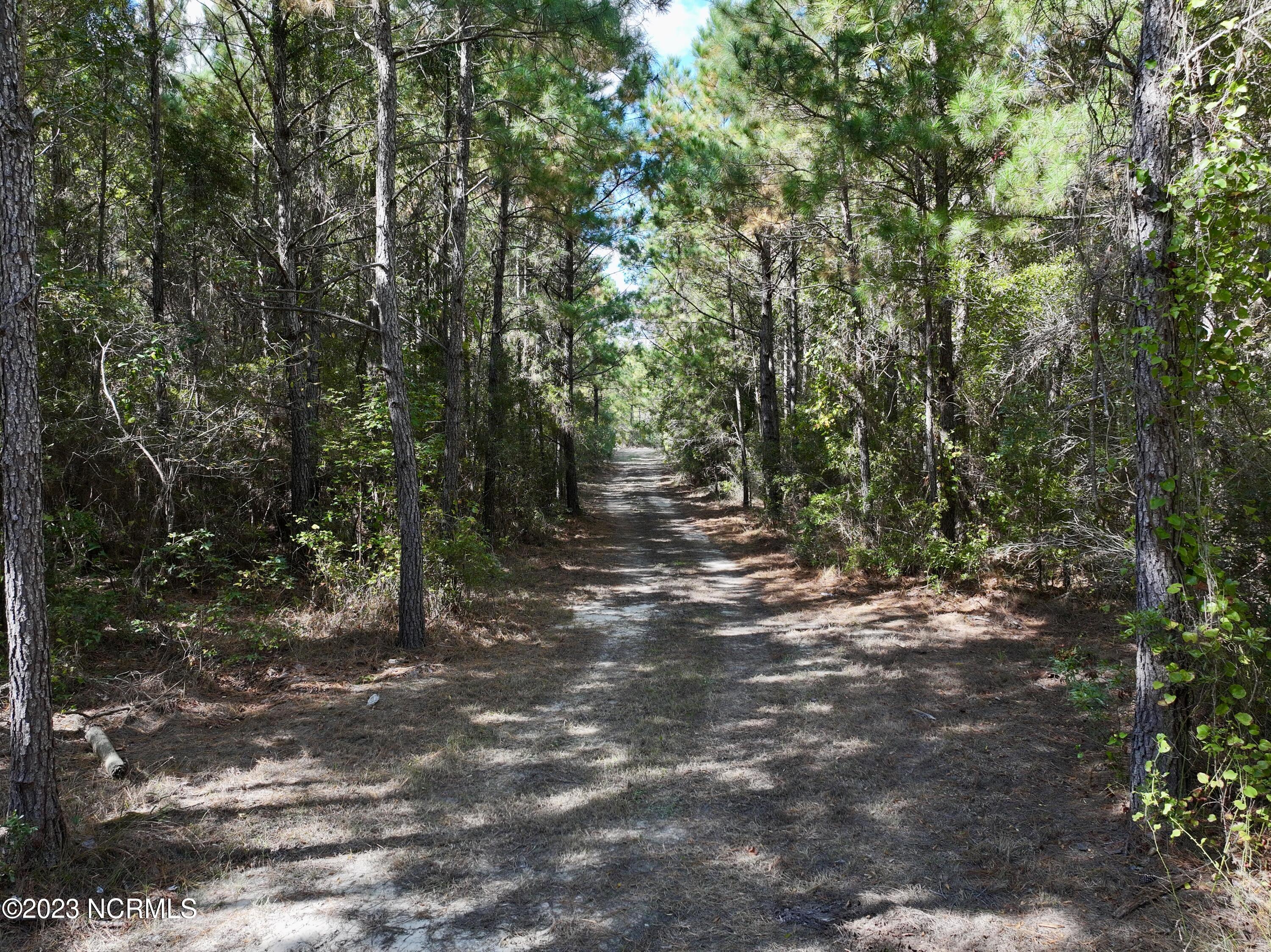 0 Germantown Road Scranton, NC 27875 - Photo 40 of 55 39