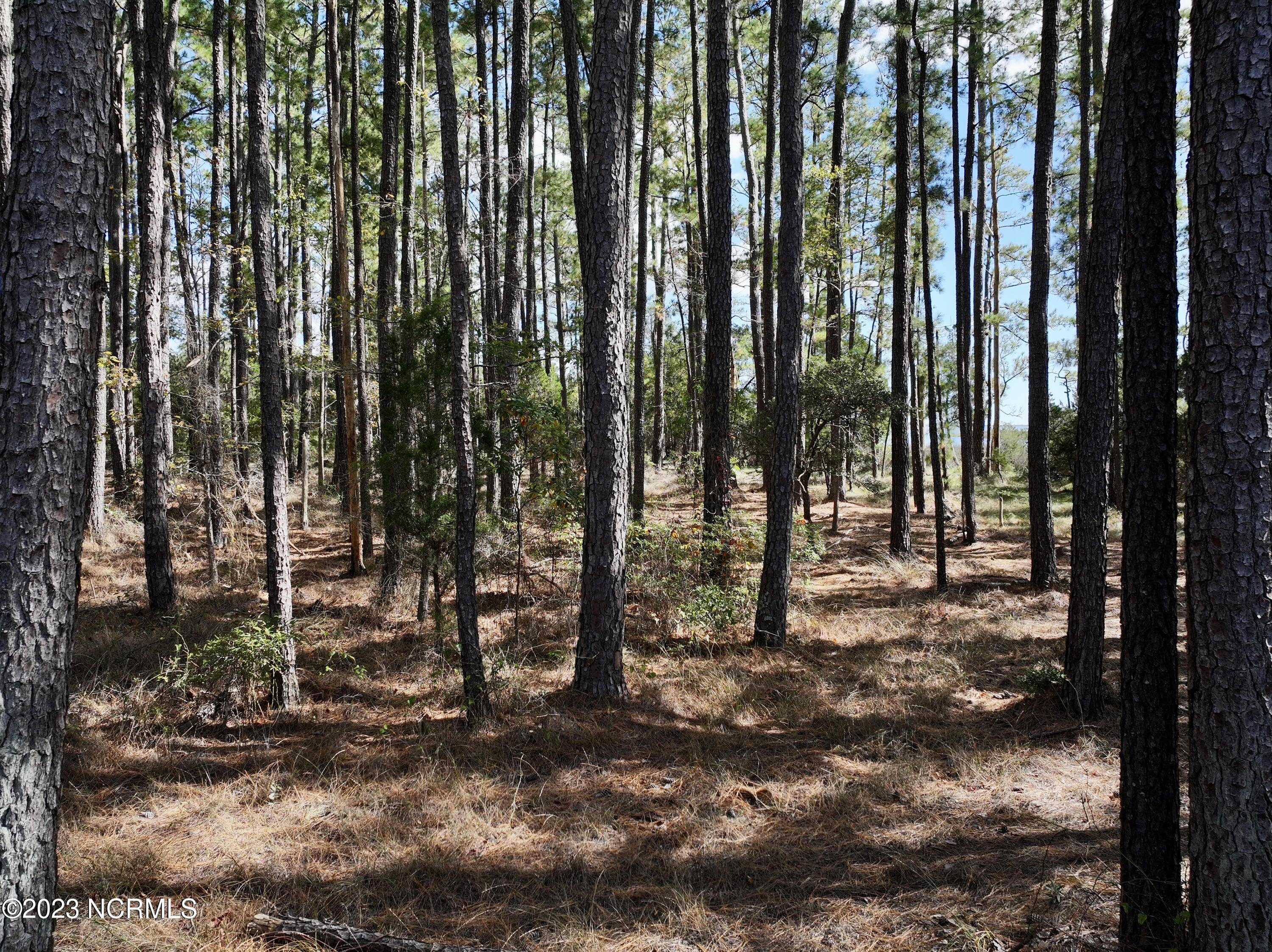 0 Germantown Road Scranton, NC 27875 - Photo 41 of 55 40