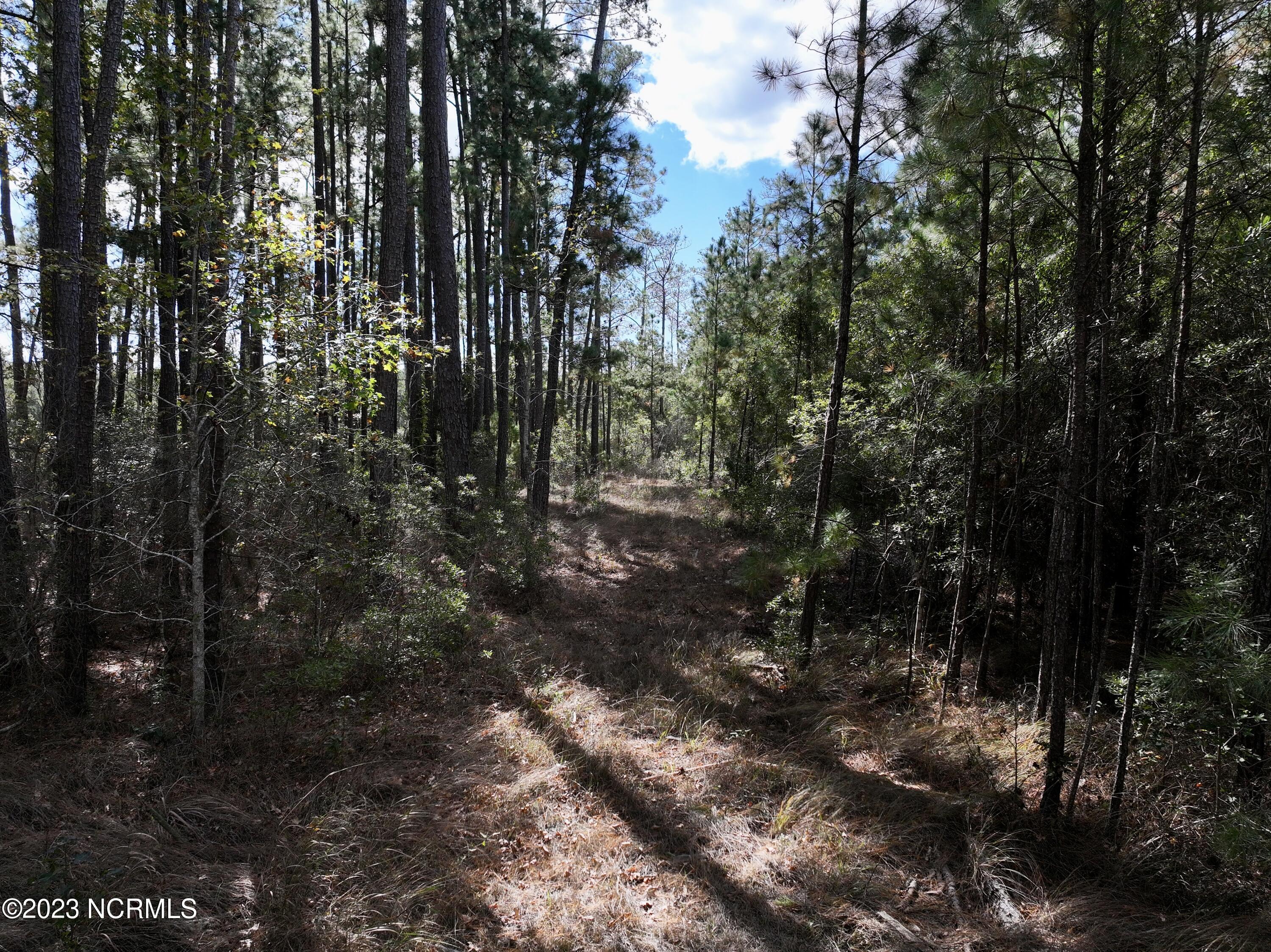 0 Germantown Road Scranton, NC 27875 - Photo 42 of 55 41