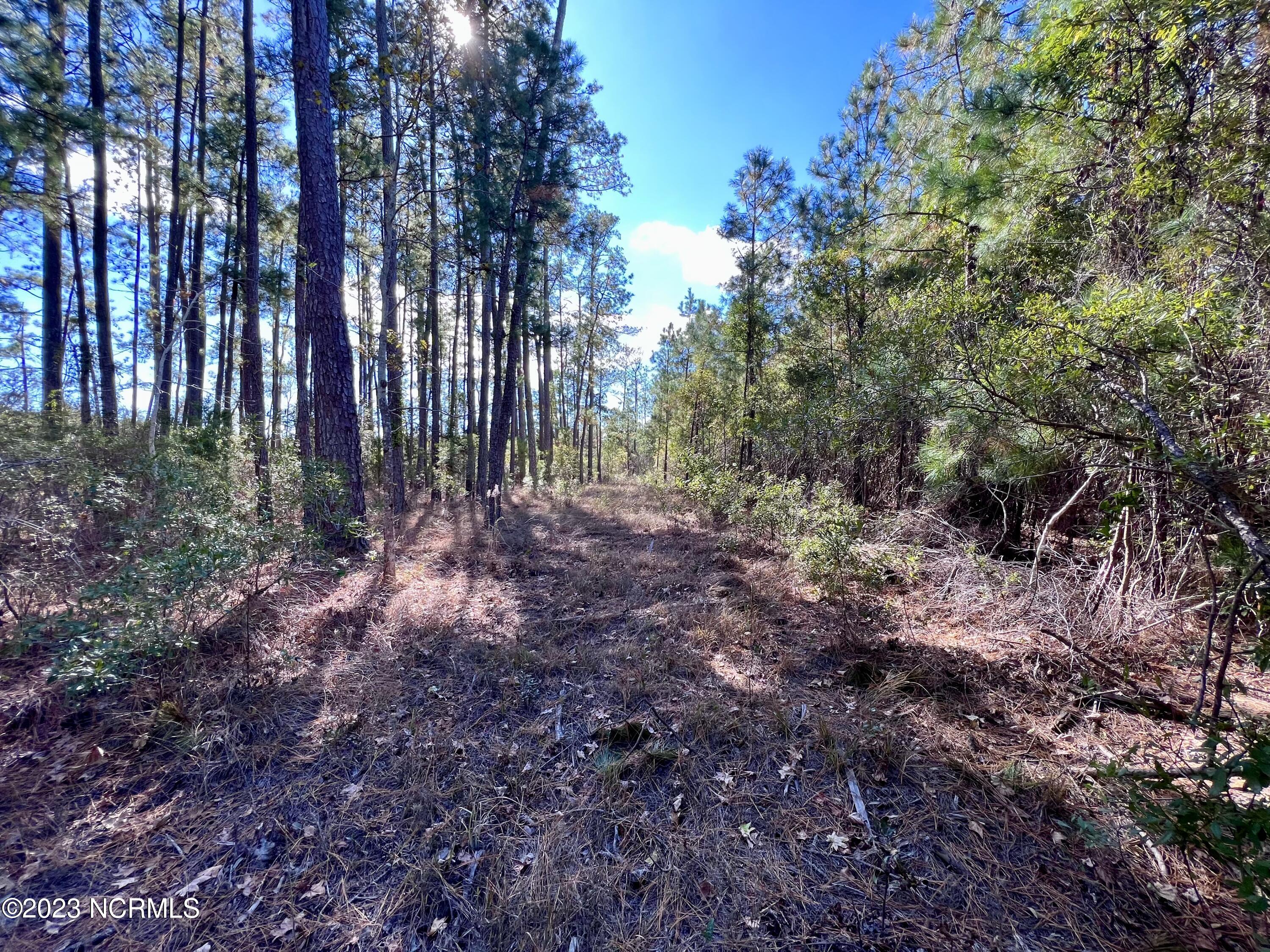 0 Germantown Road Scranton, NC 27875 - Photo 43 of 55 42