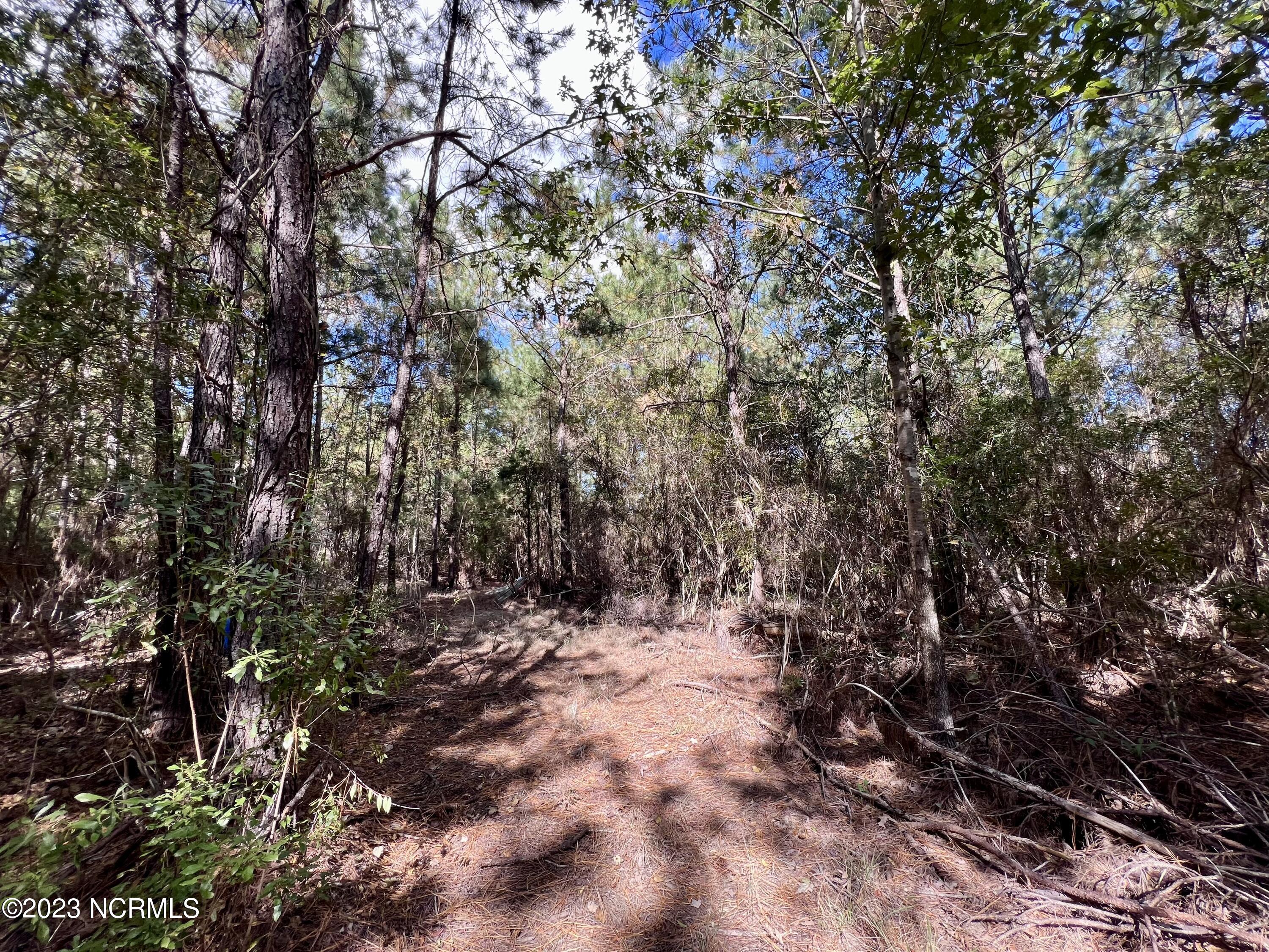 0 Germantown Road Scranton, NC 27875 - Photo 44 of 55 43