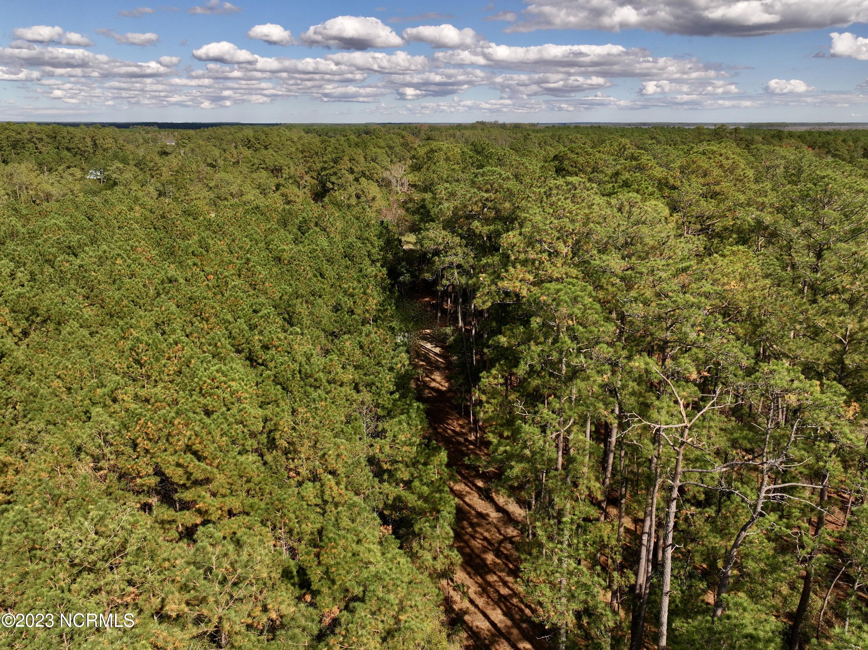 0 Germantown Road Scranton, NC 27875 - Photo 45 of 55 44