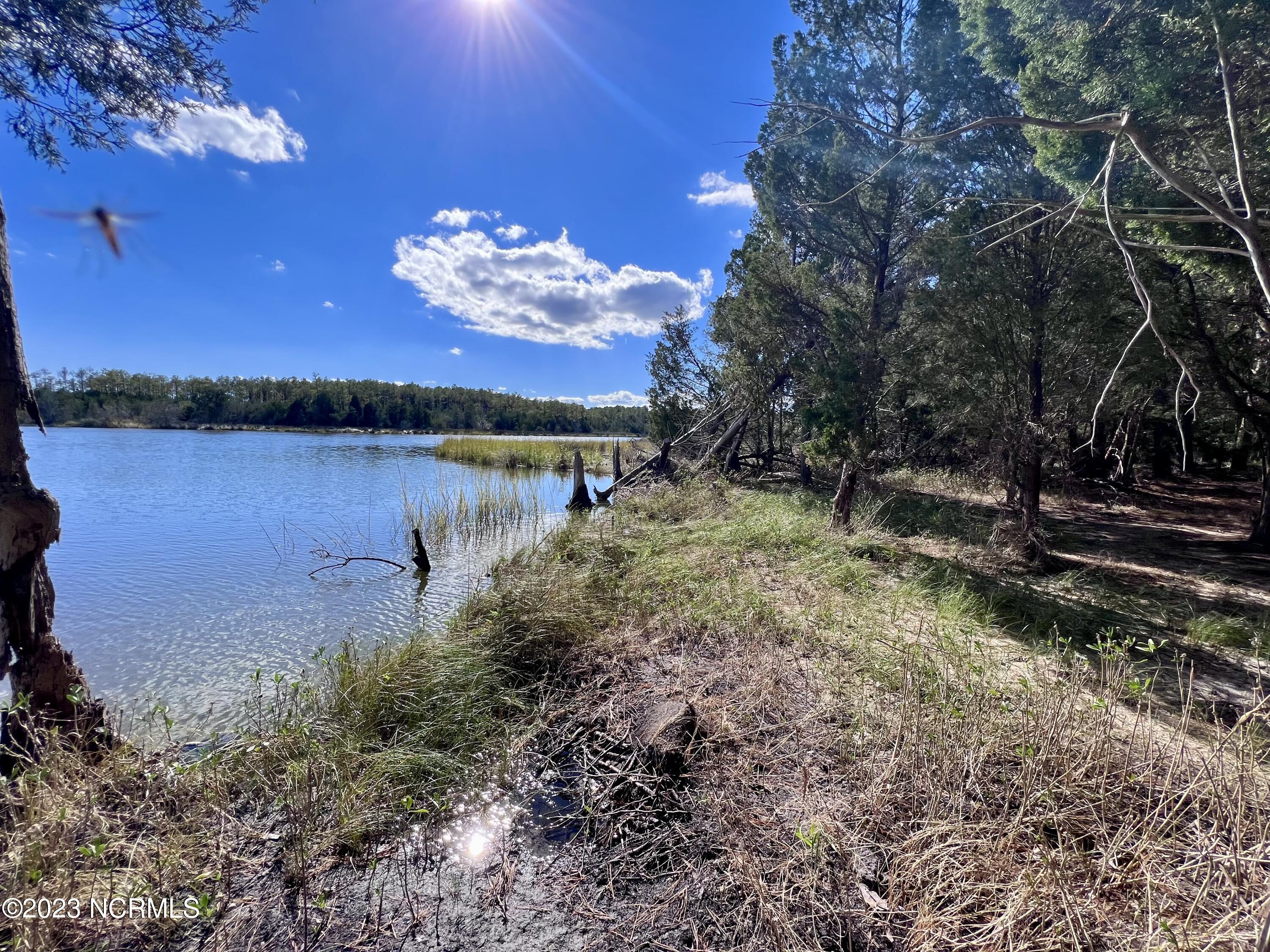 0 Germantown Road Scranton, NC 27875 - Photo 48 of 55 47