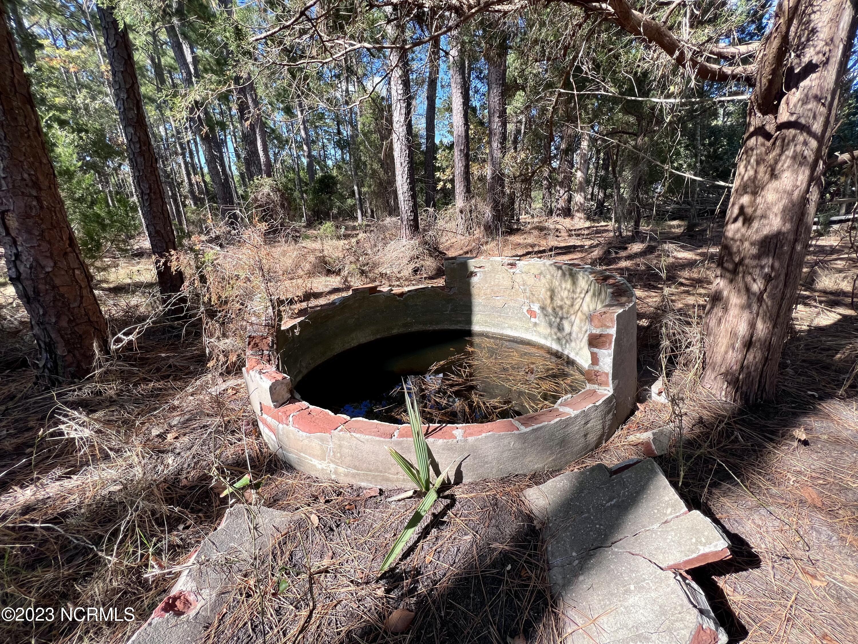 0 Germantown Road Scranton, NC 27875 - Photo 50 of 55 49