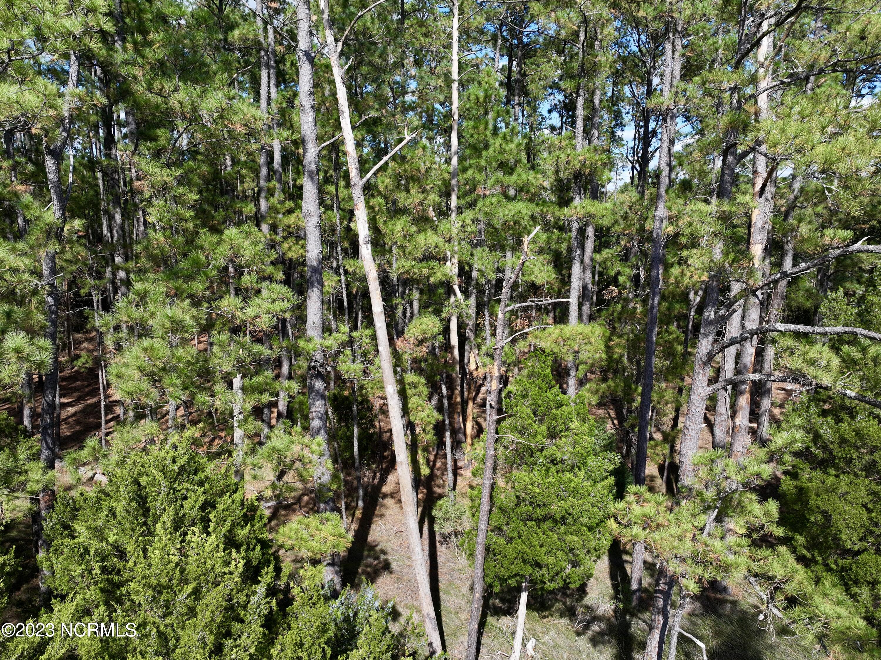 0 Germantown Road Scranton, NC 27875 - Photo 51 of 55 50