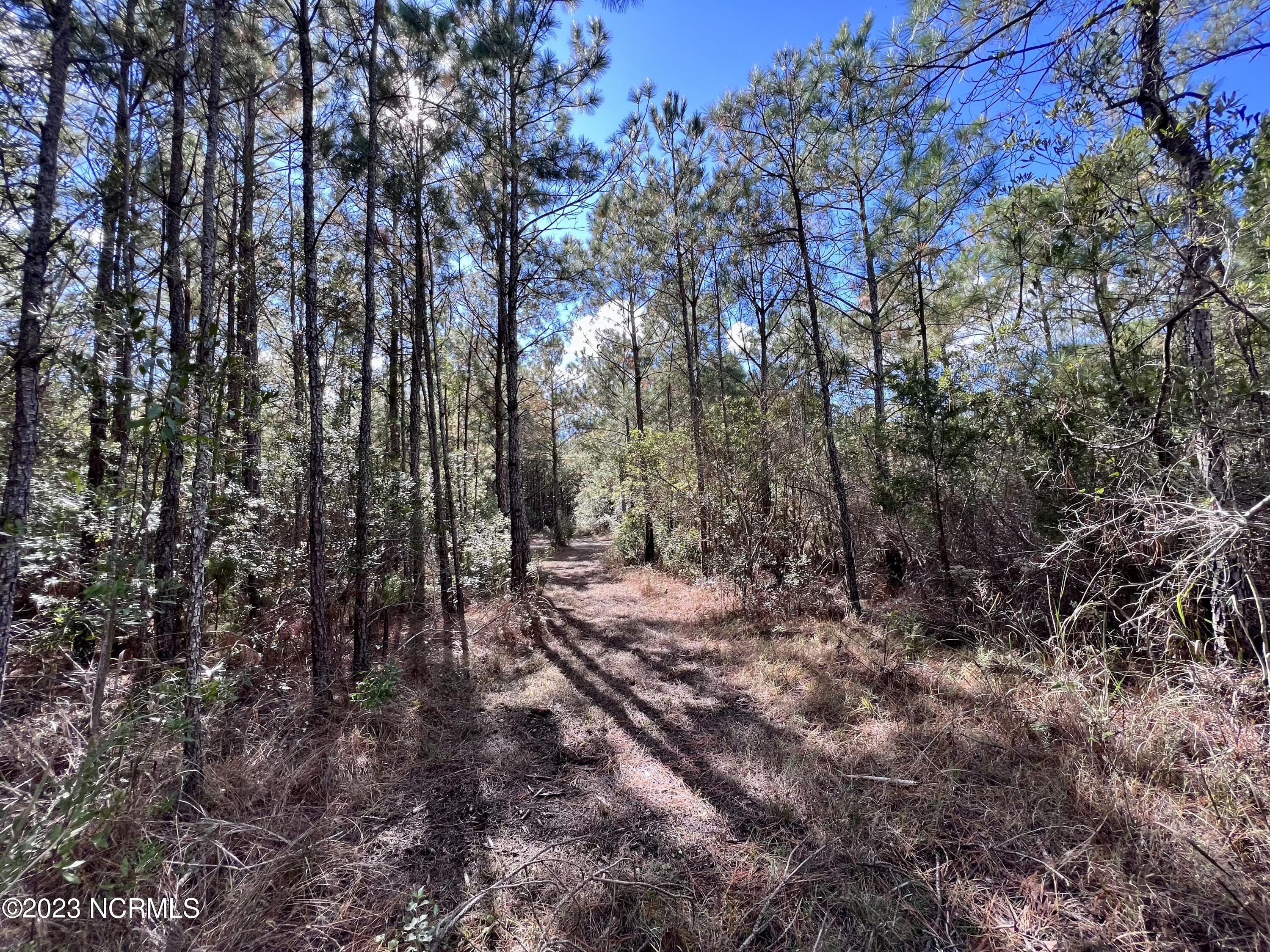 0 Germantown Road Scranton, NC 27875 - Photo 54 of 55 53