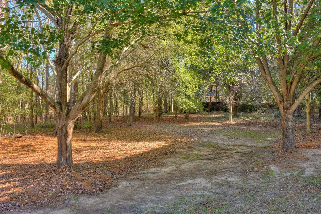 4500 Ridgepine Drive Evans, GA 30809 - Photo 55 of 57