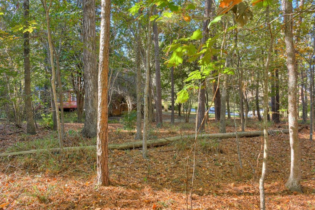 4500 Ridgepine Drive Evans, GA 30809 - Photo 56 of 57