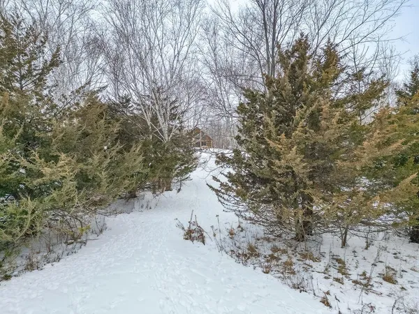 $590,000 | 316 American Heritage Road, De Soto, WI 54624