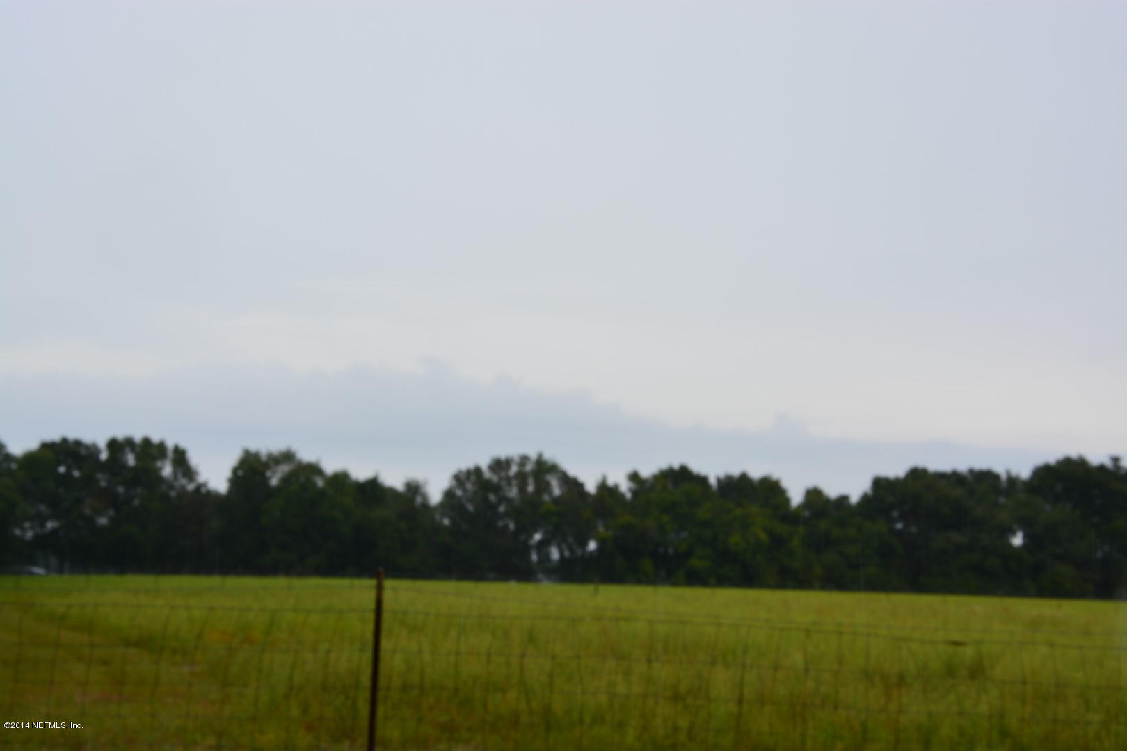 8266 Melrose Road Melrose, FL 32666 - Photo 2 of 3 02) Large Lot