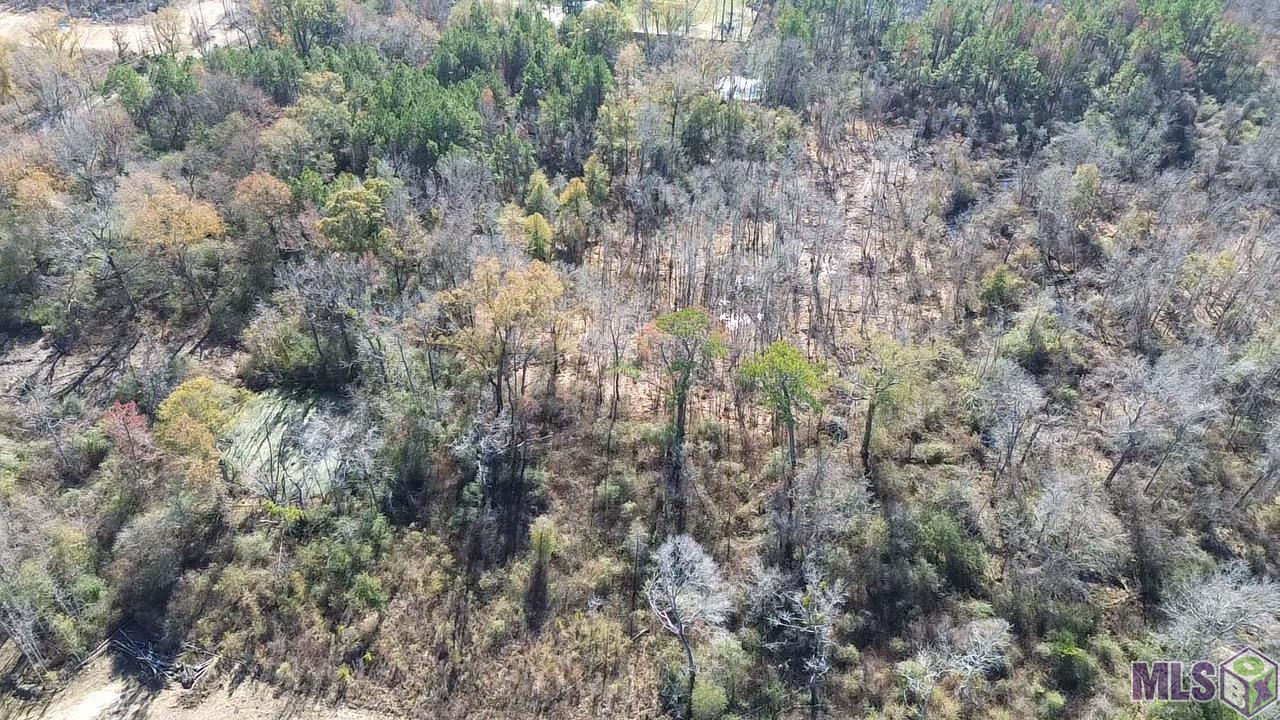 1-6 West Horseshoe Road Amite, LA 70422 - Photo 6 of 11 Gallery Image 6