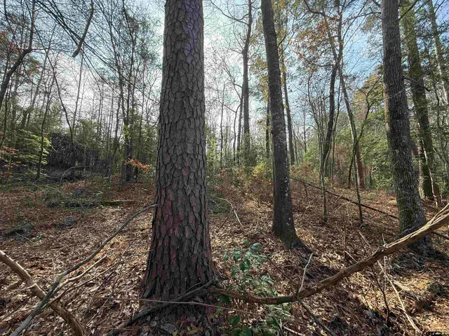 $93,500 | 2733 Marietta Tx 75566, Naples, TX 75568