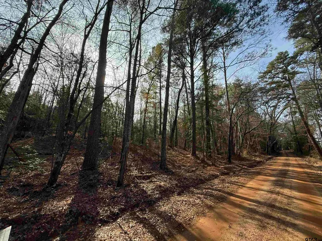 $93,500 | 2733 Marietta Tx 75566, Naples, TX 75568