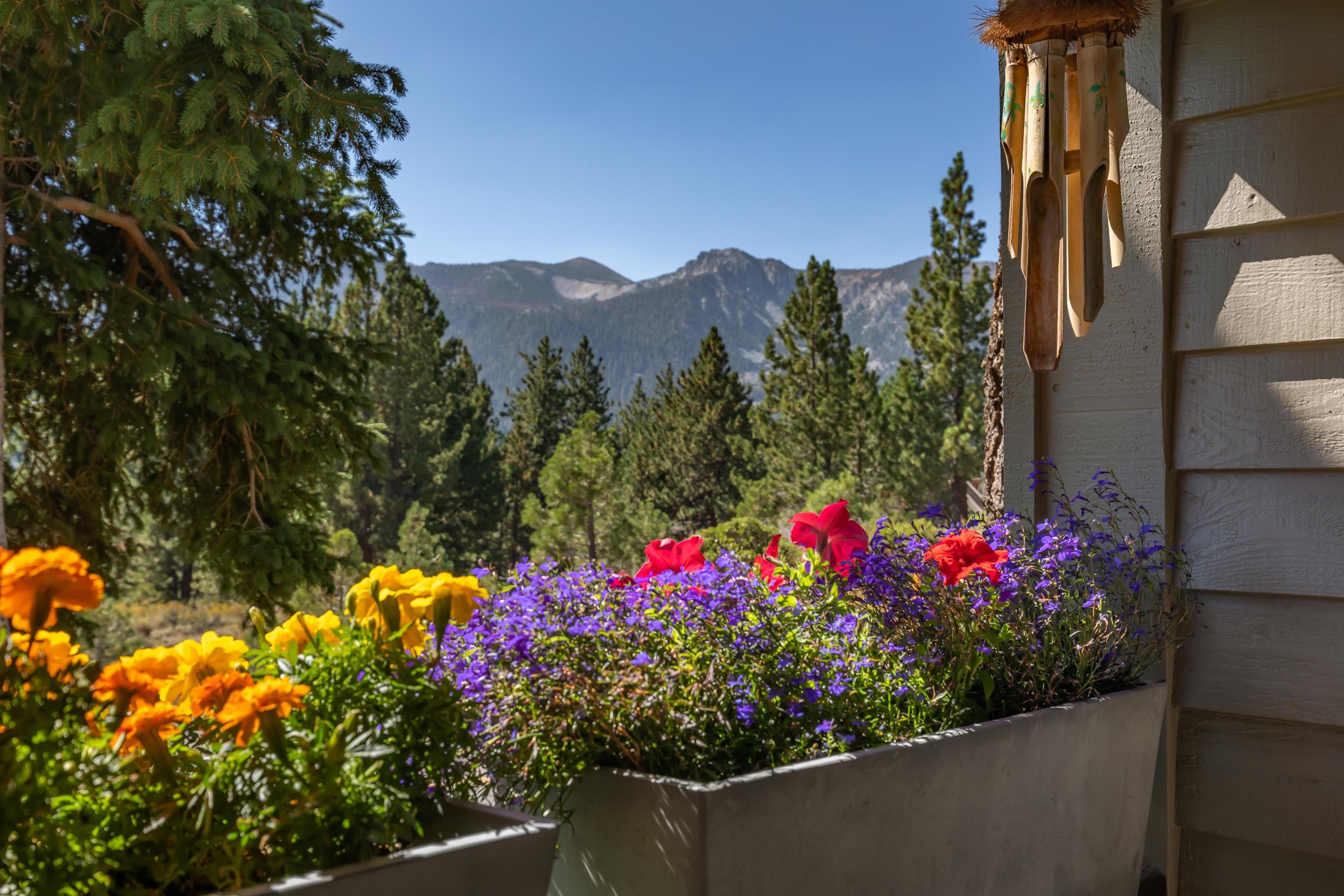3600 Chateau Road, Unit 4 Mammoth Lakes, CA 93546 - Photo 30 of 42 Gallery Image 30