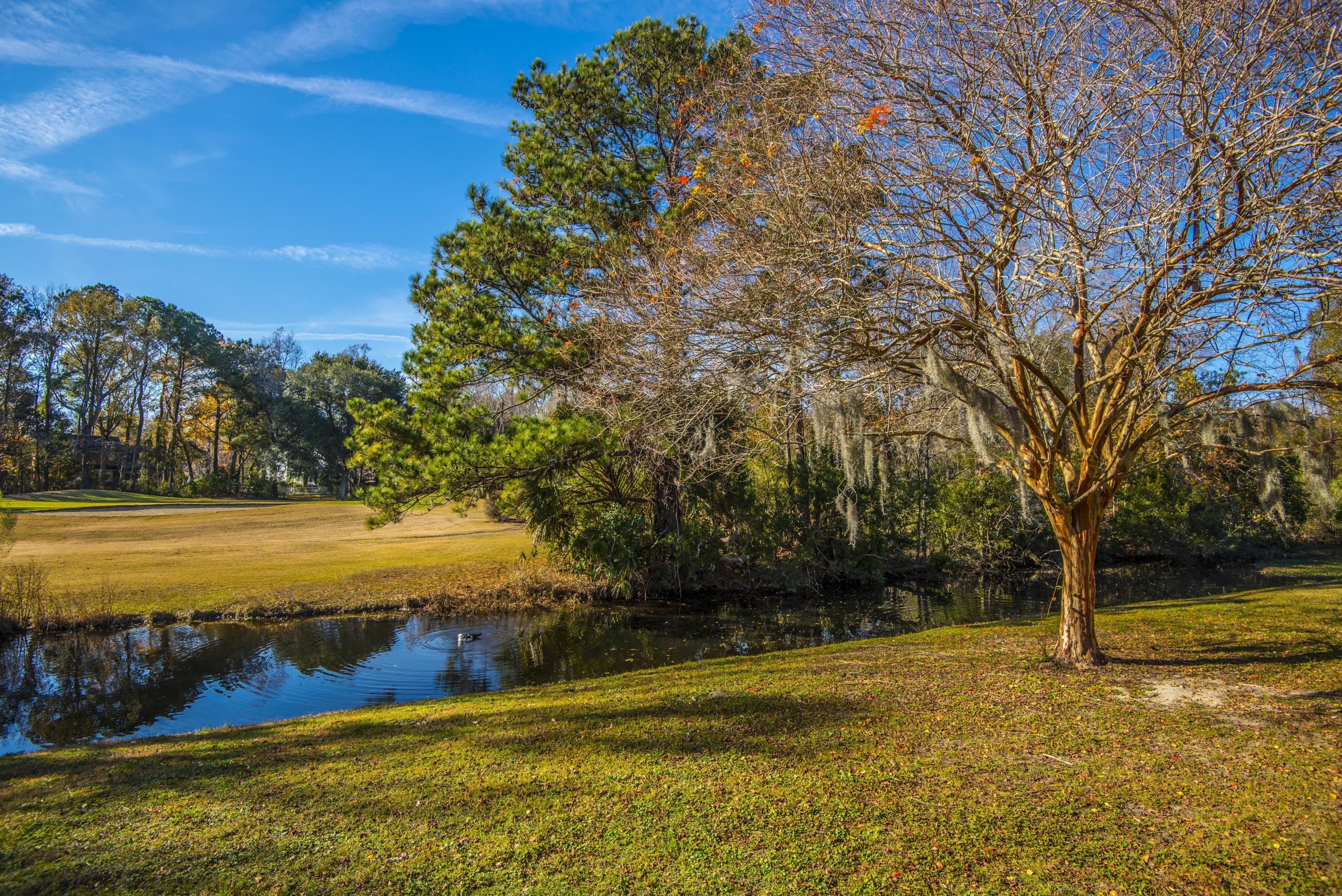 2170 Bees Ferry Road, Unit 2004 Charleston, SC 29414 - Photo 25 of 27 _DSC0786