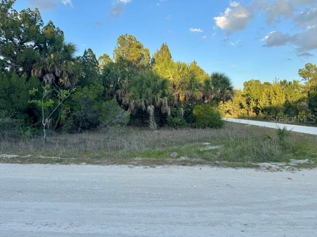 Rapidan Road Weeki Wachee, FL 34614 - Photo 2 of 9 a view of a yard