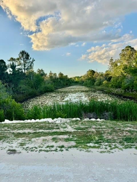 Rapidan Road Weeki Wachee, FL 34614 - Photo 5 of 9 a view of a lake with a yard