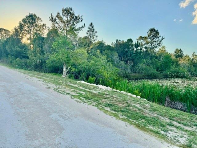 Rapidan Road Weeki Wachee, FL 34614 - Photo 6 of 9 a view of a lake from a yard