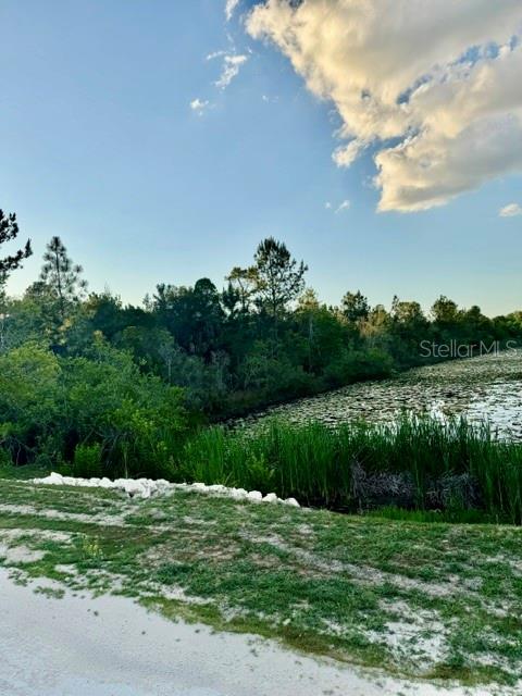 Rapidan Road Weeki Wachee, FL 34614 - Photo 7 of 9 a view of a lake from a yard
