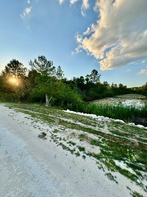 Rapidan Road Weeki Wachee, FL 34614 - Photo 9 of 9 a view of a lake with beach and green space