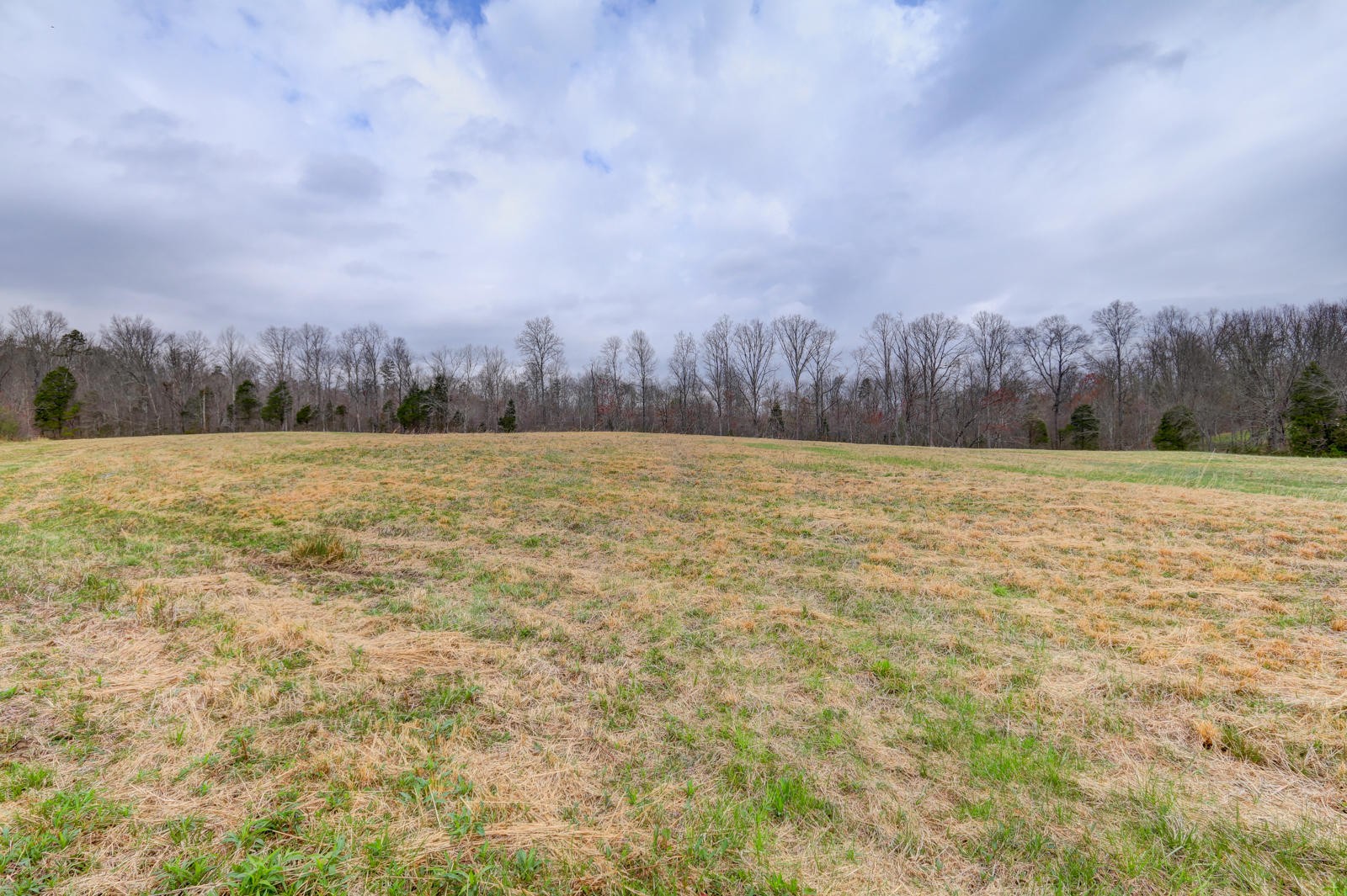 723 Paint Rock Road Kingston, TN 37763 - Photo 18 of 40 Gallery Image 18