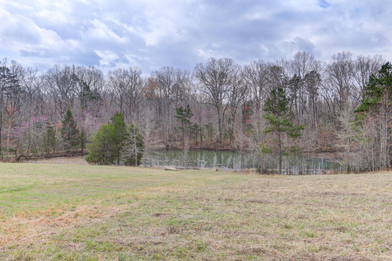 723 Paint Rock Road Kingston, TN 37763 - Photo 23 of 40 Gallery Image 23