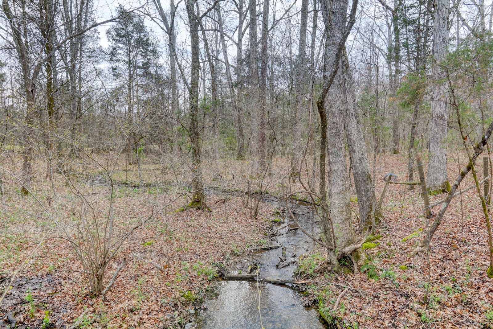 723 Paint Rock Road Kingston, TN 37763 - Photo 36 of 40 Gallery Image 36