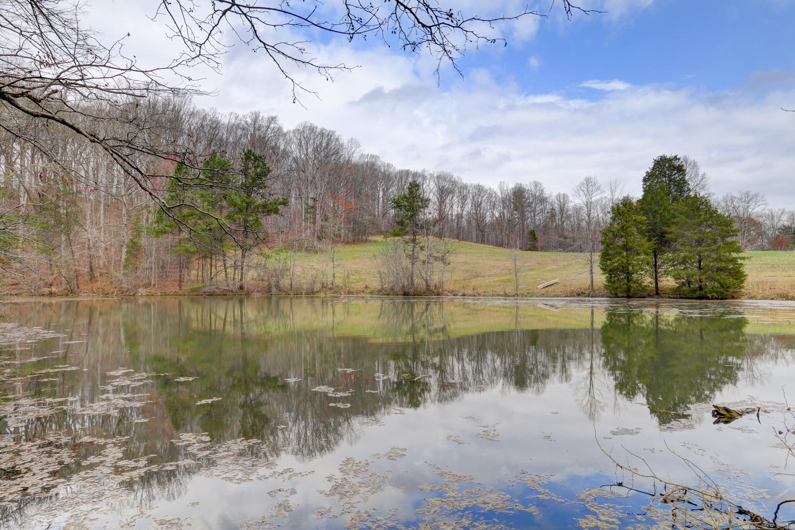 723 Paint Rock Road Kingston, TN 37763 - Photo 37 of 40 Gallery Image 37