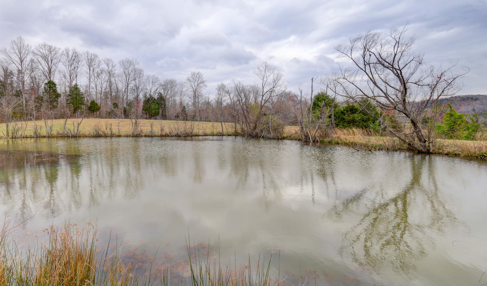723 Paint Rock Road Kingston, TN 37763 - Photo 39 of 40 Gallery Image 39