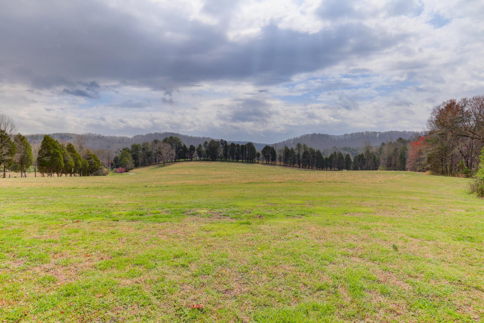 723 Paint Rock Road Kingston, TN 37763 - Photo 5 of 40 Gallery Image 5