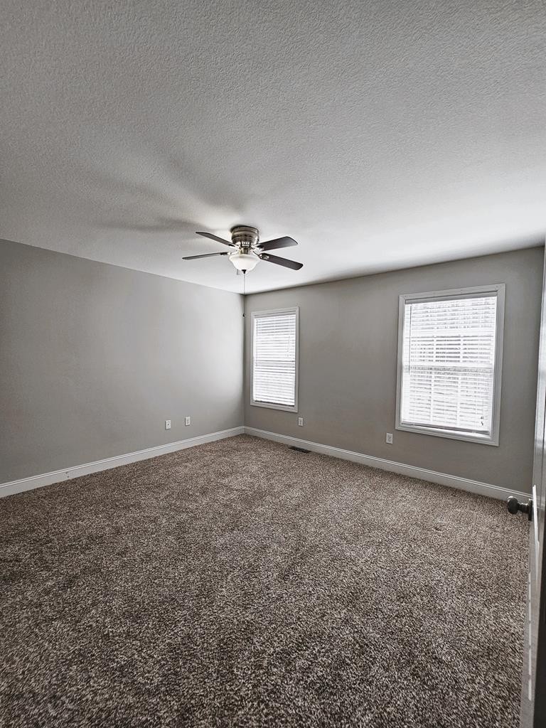 4835 Cameron Road Morristown, TN 37814 - Photo 11 of 25 an empty room with windows and ceiling fan view
