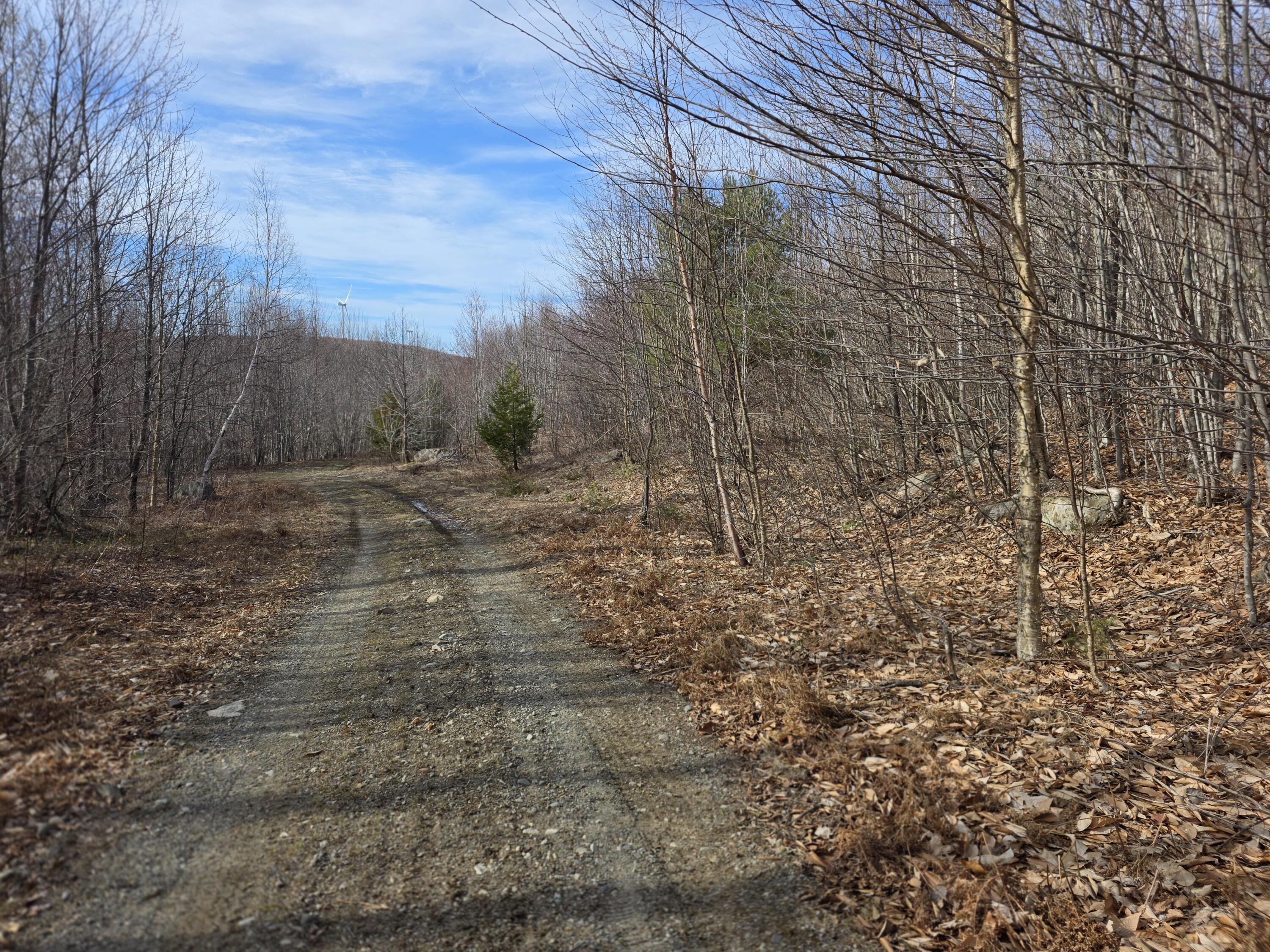 10 Moose Ridge Road Oakfield, ME 04763 - Photo 3 of 13