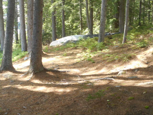 1470 Houston Road Lincoln, ME 04457 - Photo 30 of 36 DSCN8633