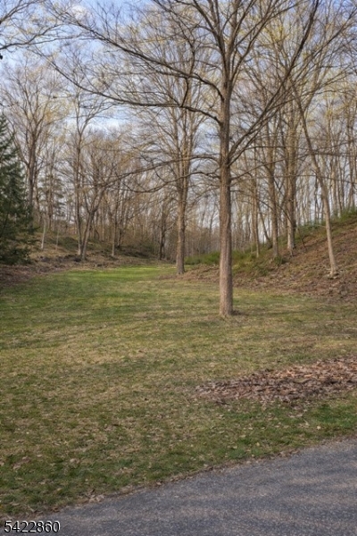 6 Millbrook Road Blairstown, NJ 07825 - Photo 23 of 24