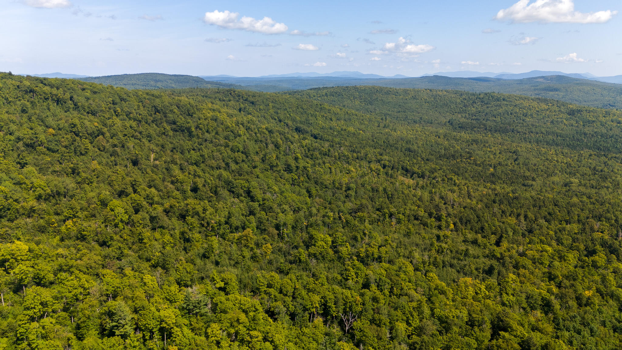 507 Mountain Road Abbot, ME 04406 - Photo 33 of 96 DJI_20240827115436_0664_D