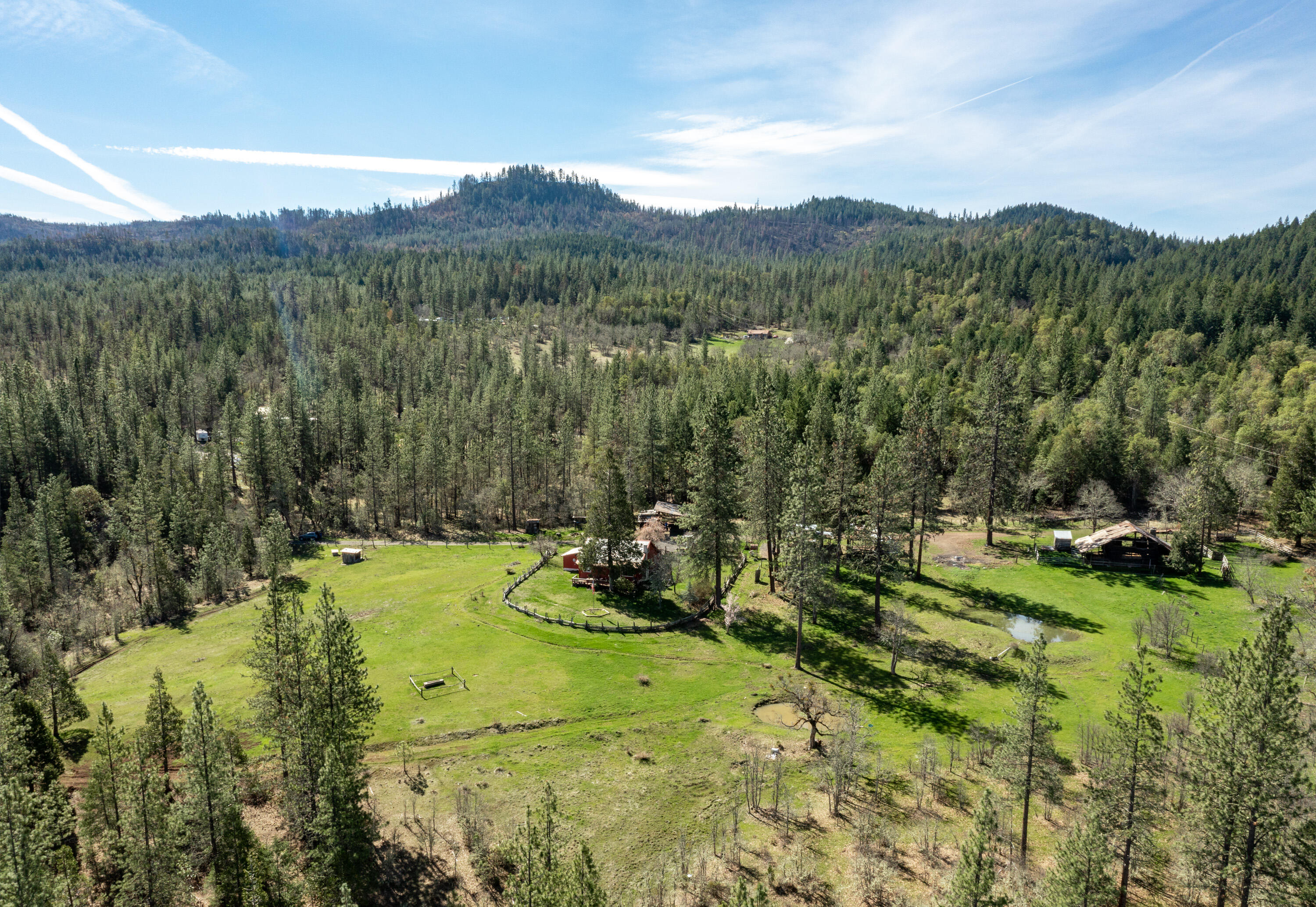 2150 North Obenchain Road Eagle Point, OR 97524 - Photo 44 of 69 a view of a lush green forest with trees in the background